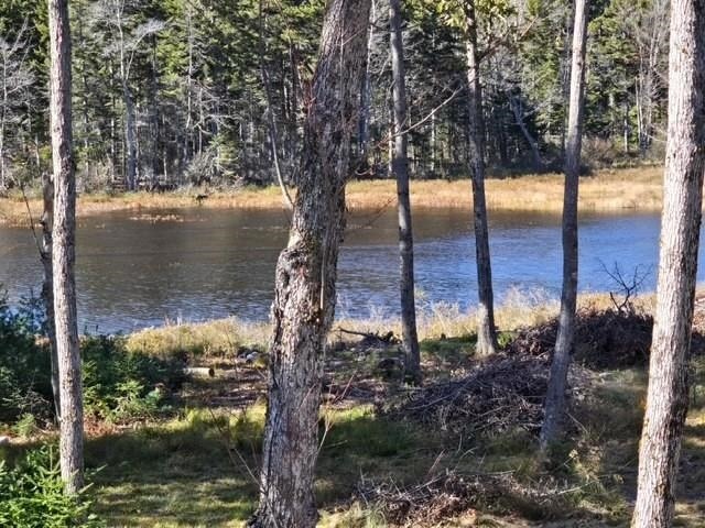 Ashuelot Dr, Washington, NH 03280 #1