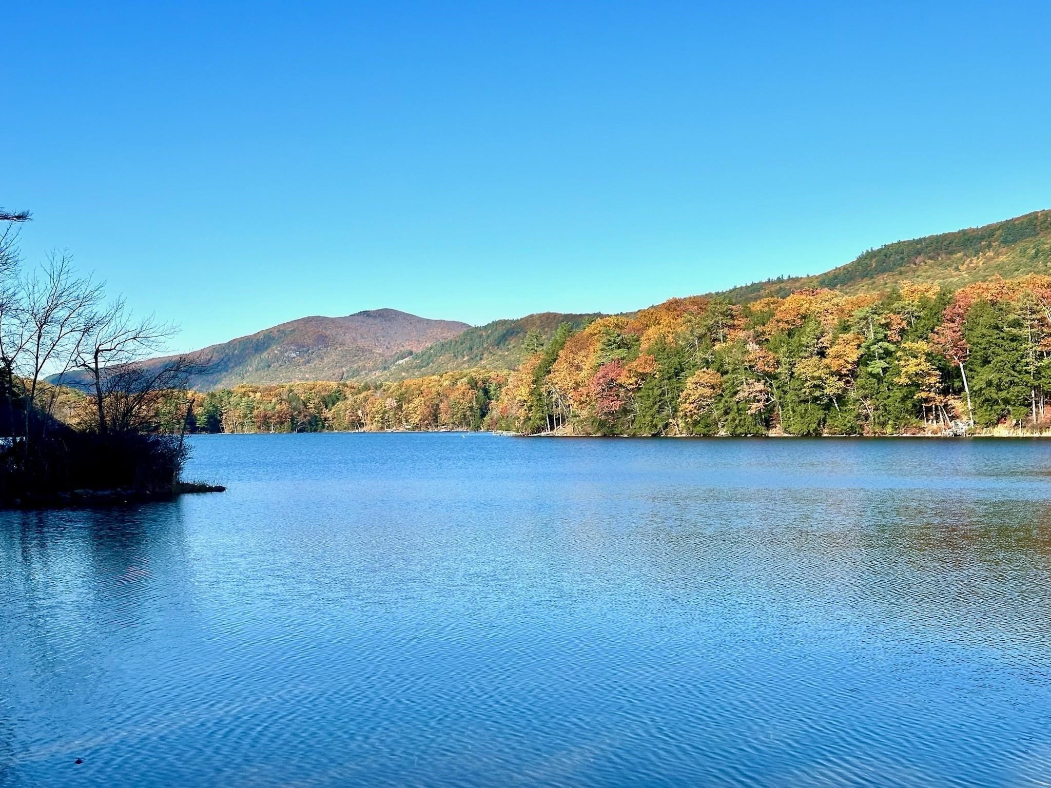 Lake Dunmore Rd, Leicester, VT 05733 #1
