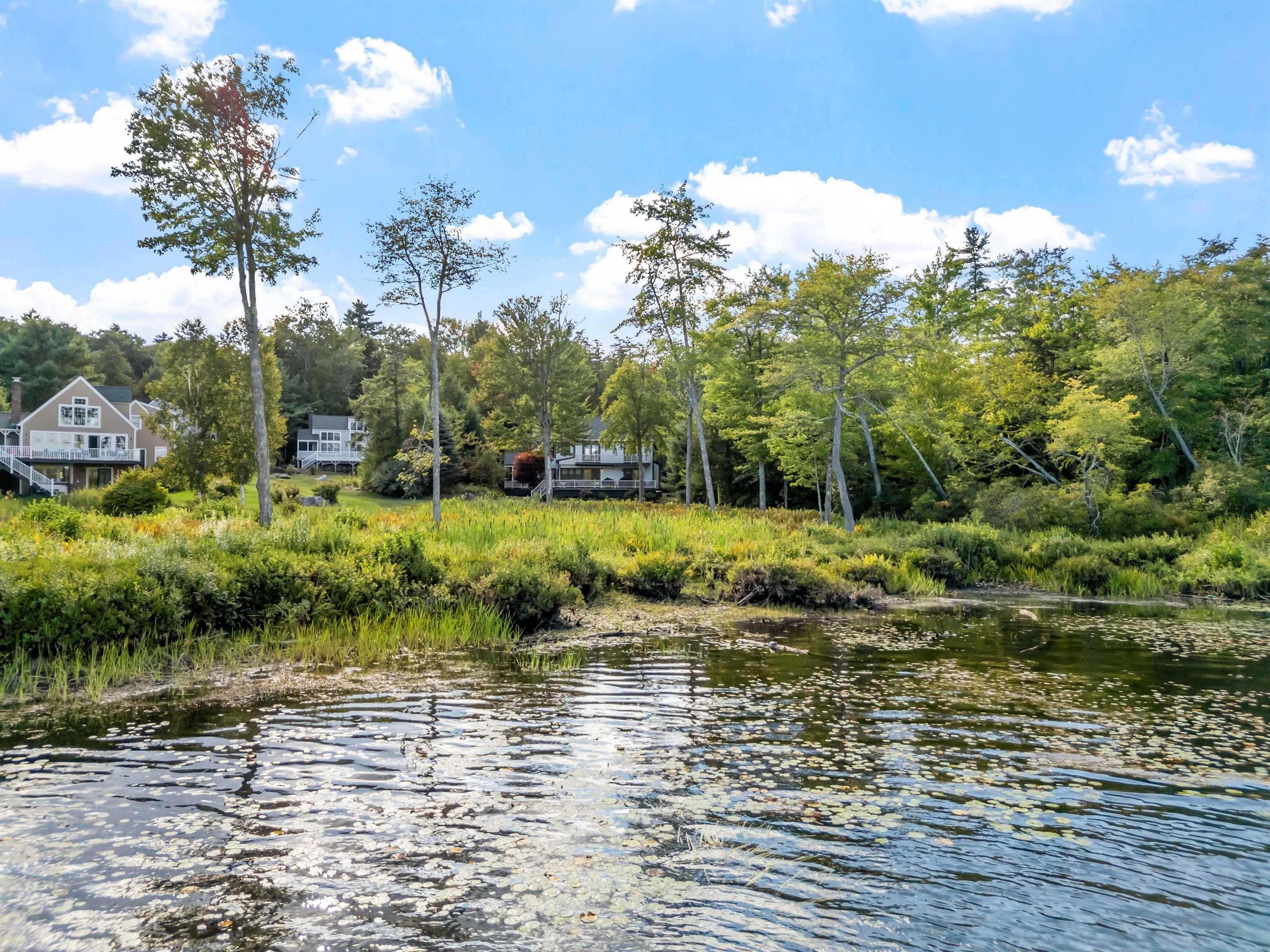 Island View Dr, Moultonborough, NH 03254 #1