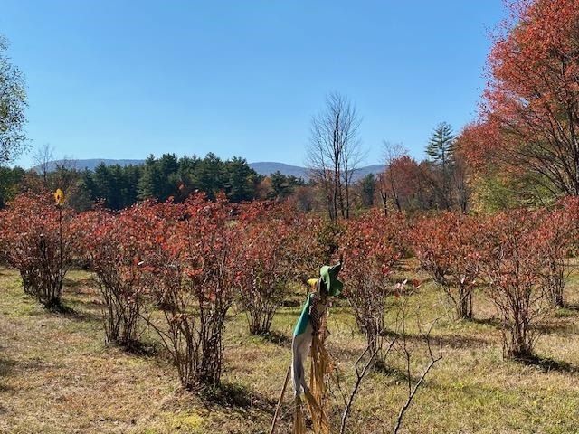 Pleasant View Rd, Bradford, NH 03221 #1