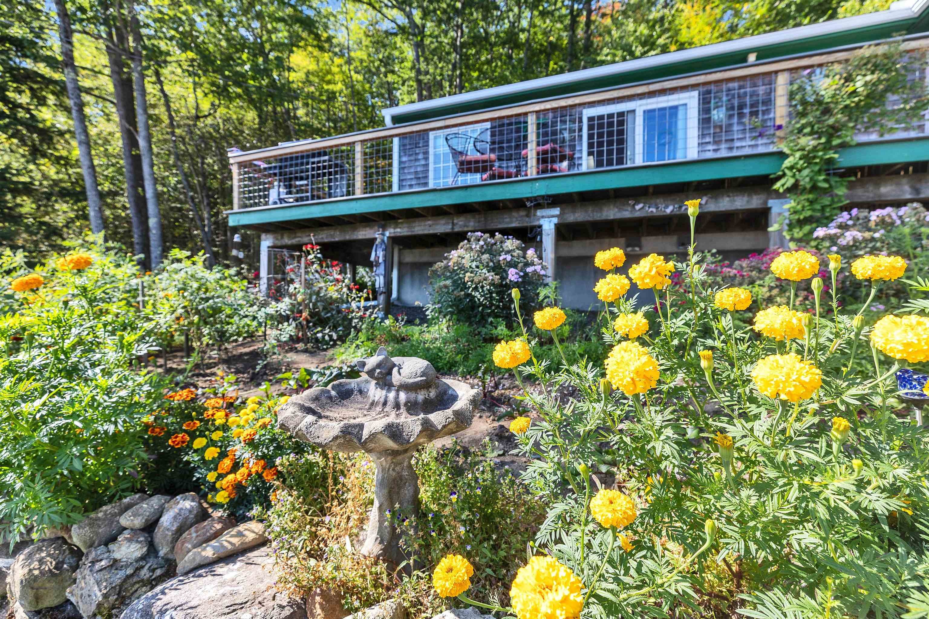 Nelson Rd, Harrisville, NH 03450 #1