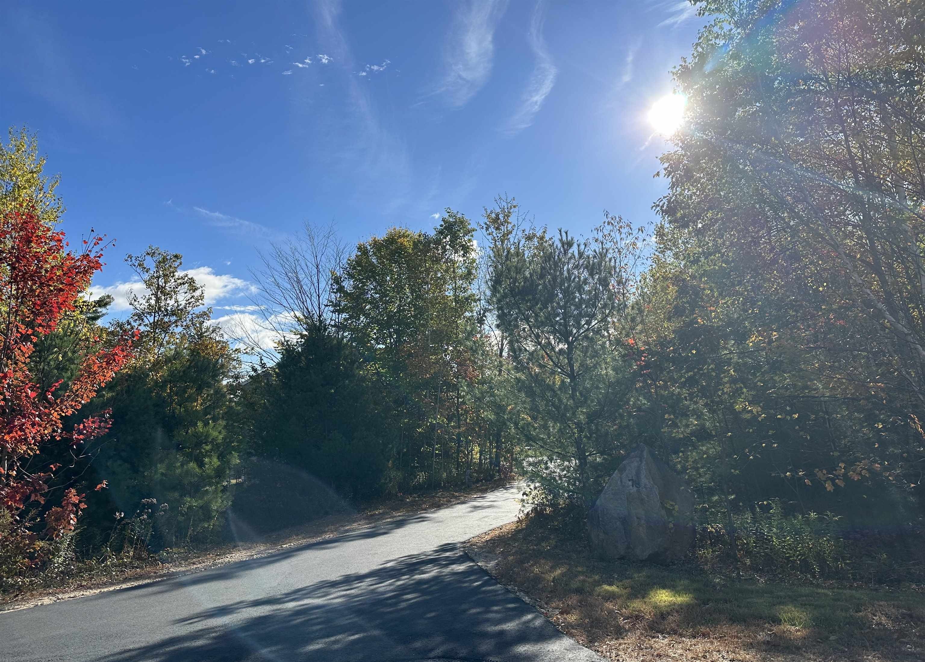 Curries Way, Brookfield, NH 03872 #1