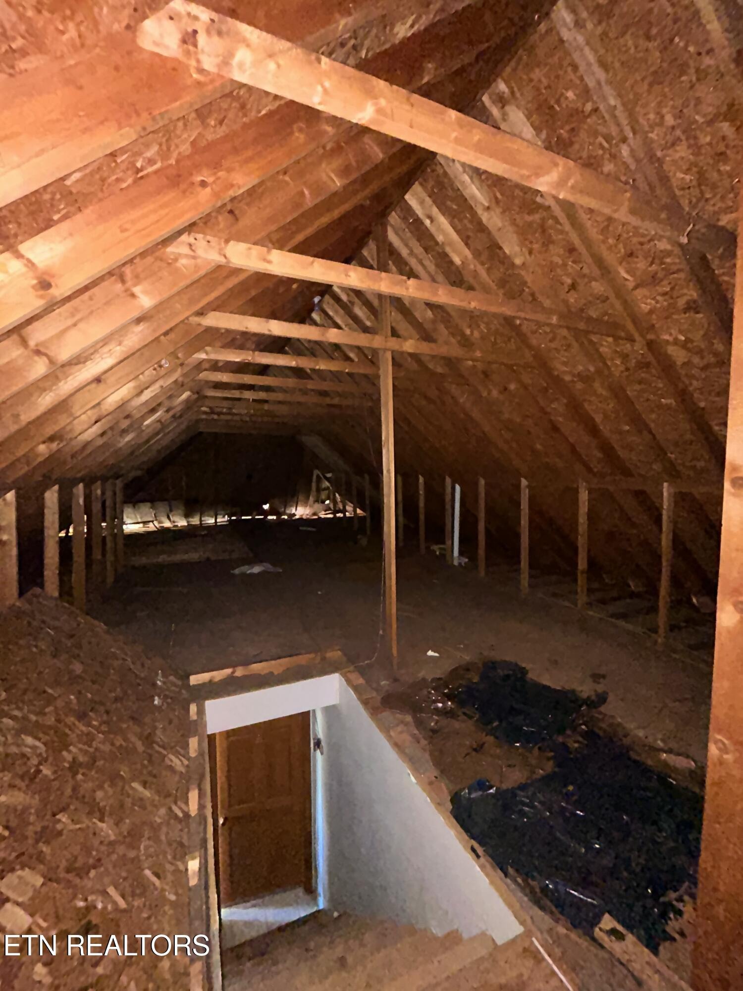 Steven Dr, Rogersville, TN 37857