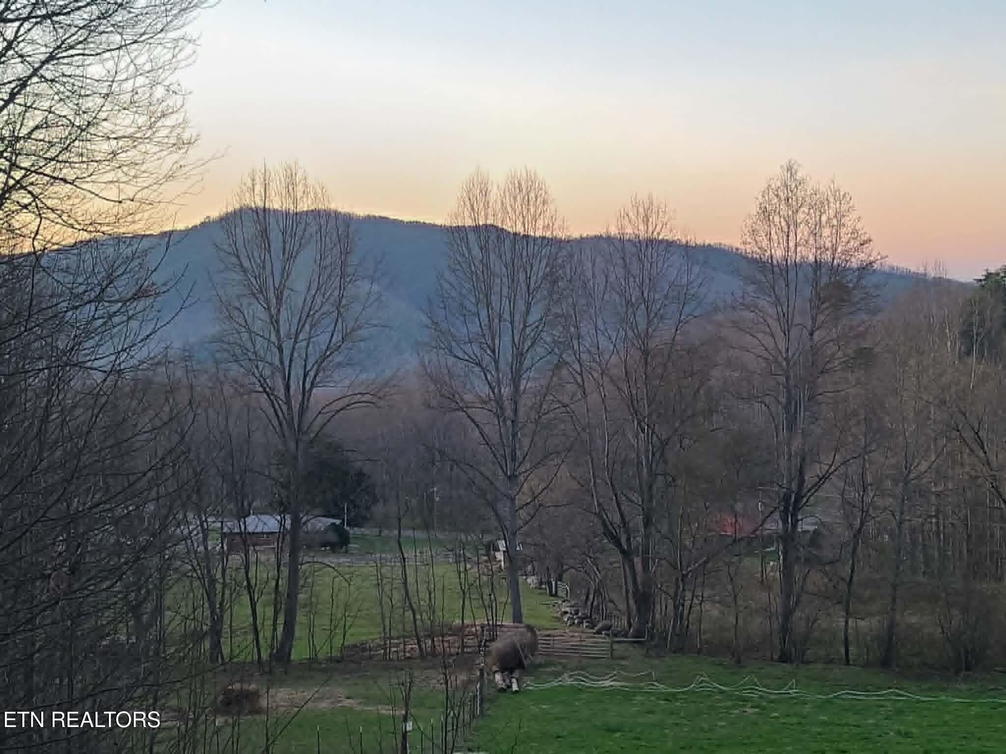 Emilyville Way, Cosby, TN 37722 #1