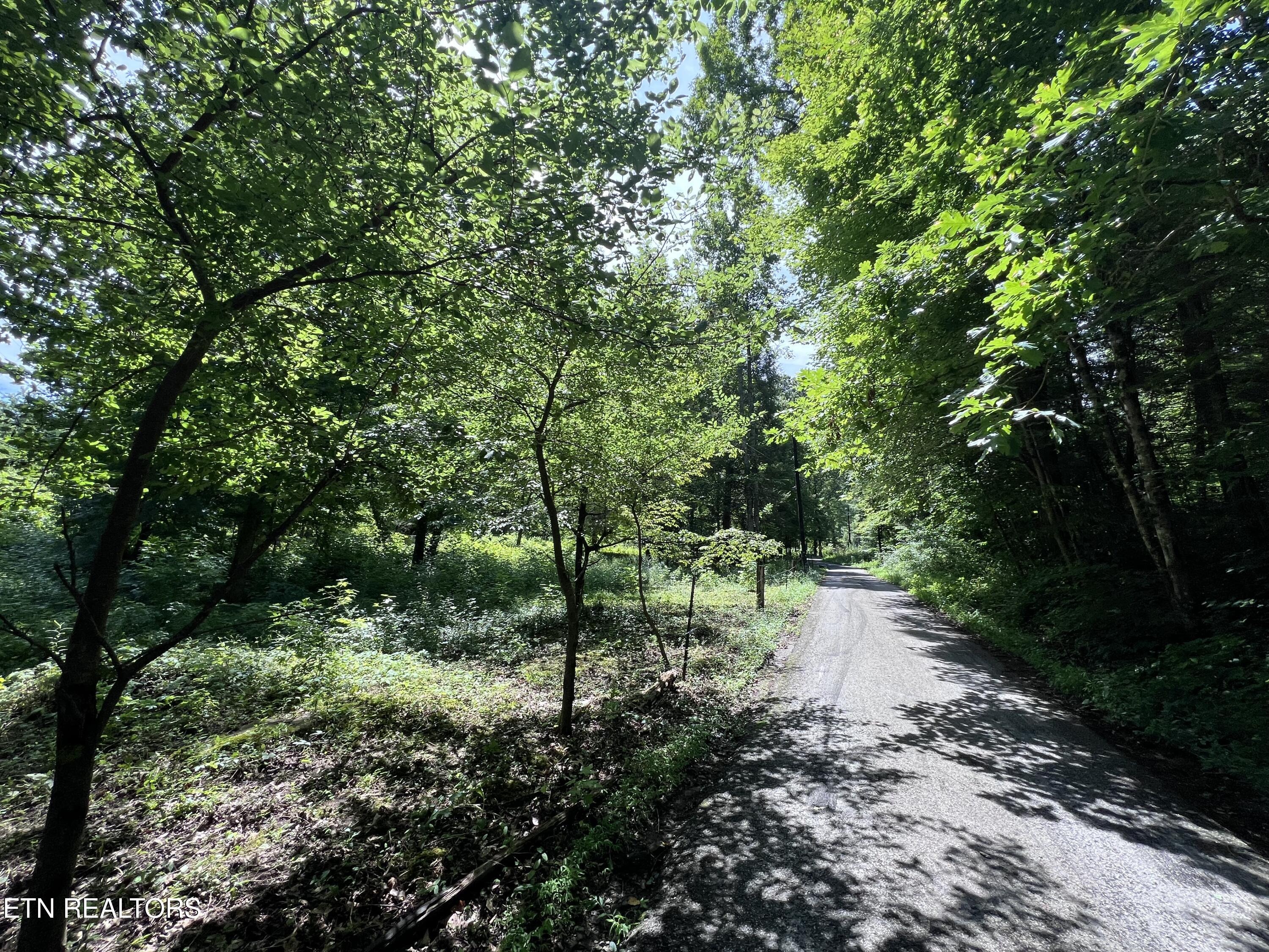 Wagon Hollow Rd, Middlesboro, KY 40965 #1