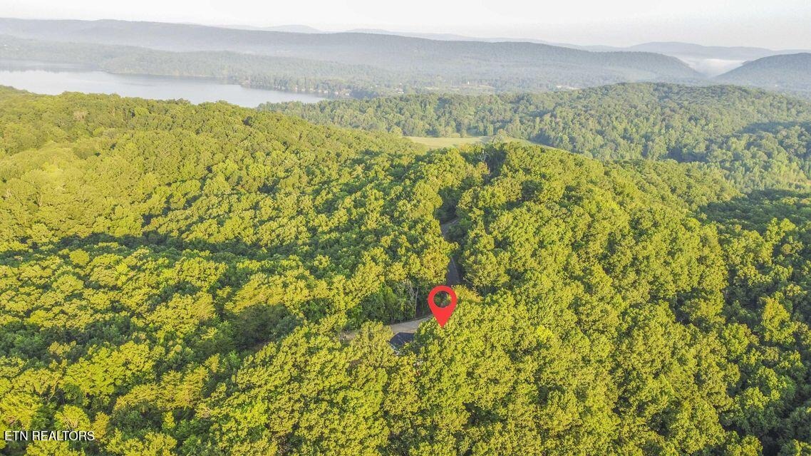Mary Brown Ln, Rockwood, TN 37854 #1