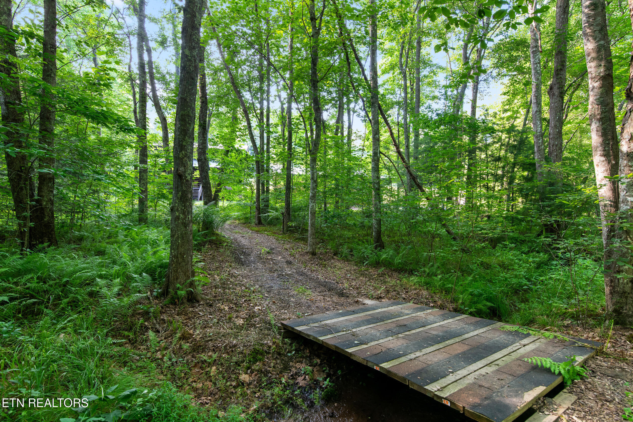 Towee Falls Rd, Tellico Plains, TN 37385 #1