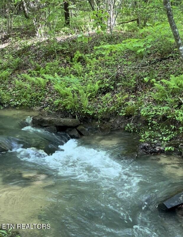 Creek Pl, Monterey, TN 38574 #1