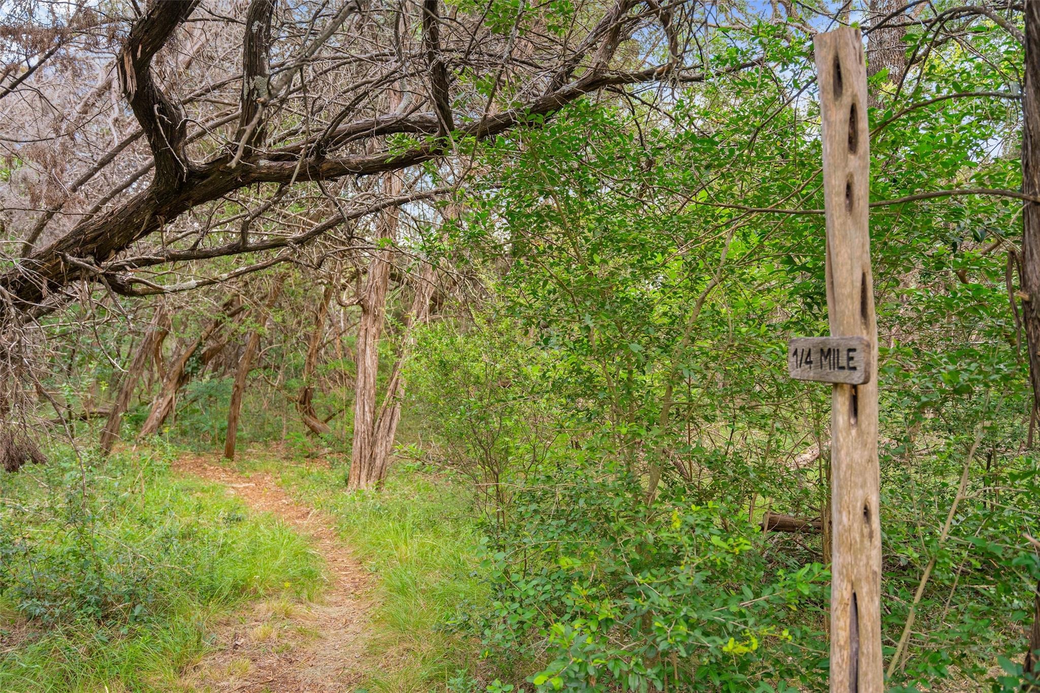 Wild Basin Ledge , Austin, TX 78746