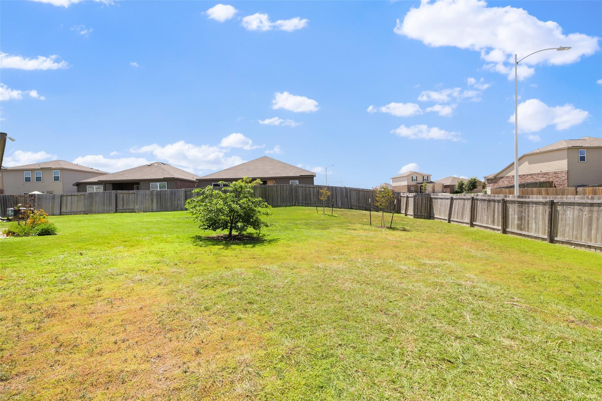 Charles W Fairbanks Cv, Manor, TX 78653 #1