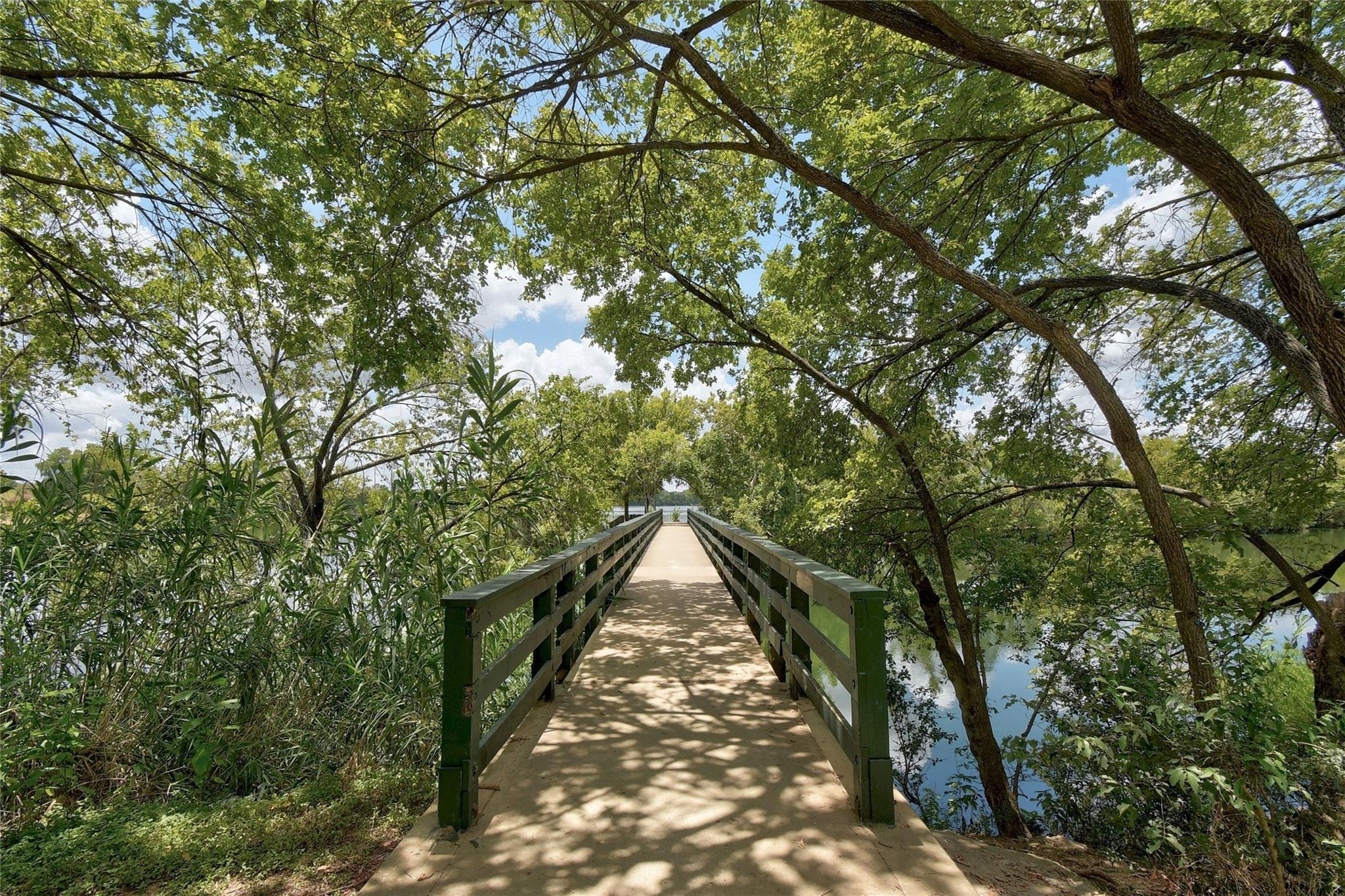 Mildred St, Austin, TX 78702 #1