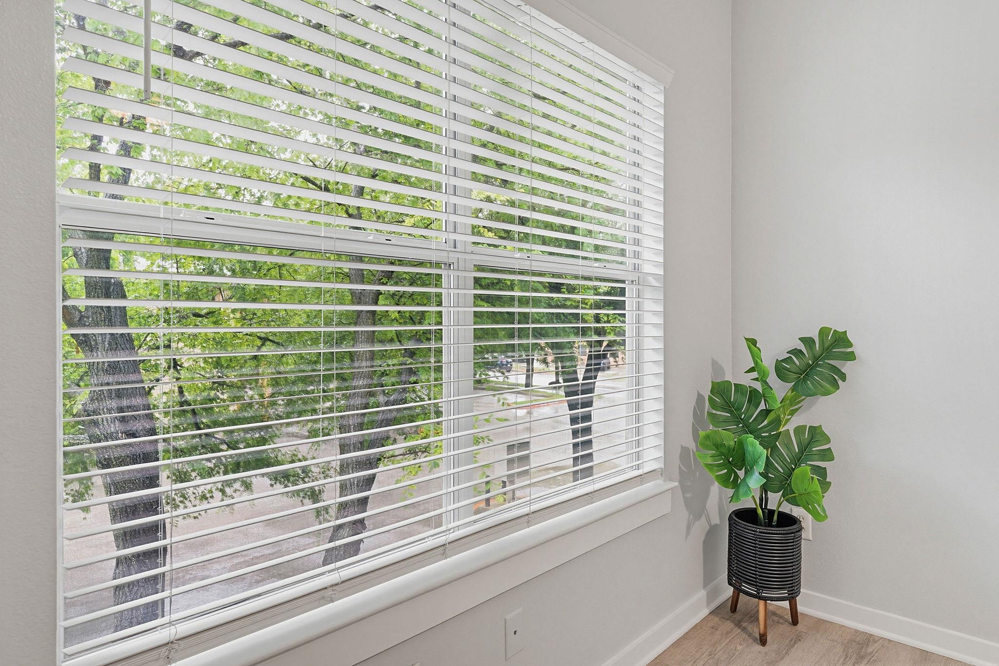 Cullen Ave, Austin, TX 78757 #1