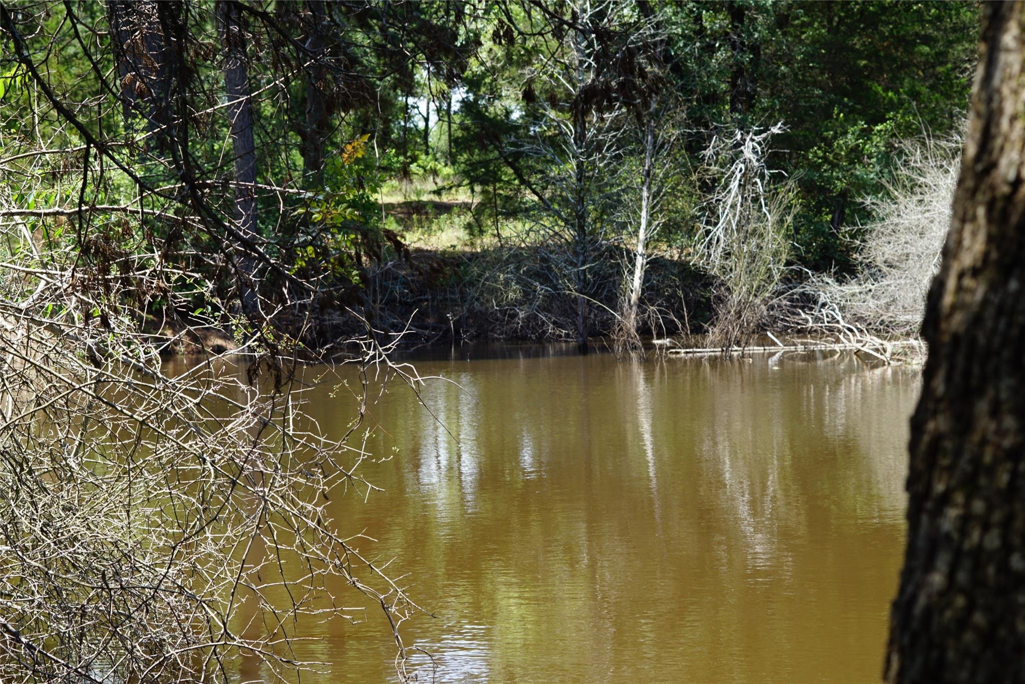County Road 322 , Rockdale, TX 76567