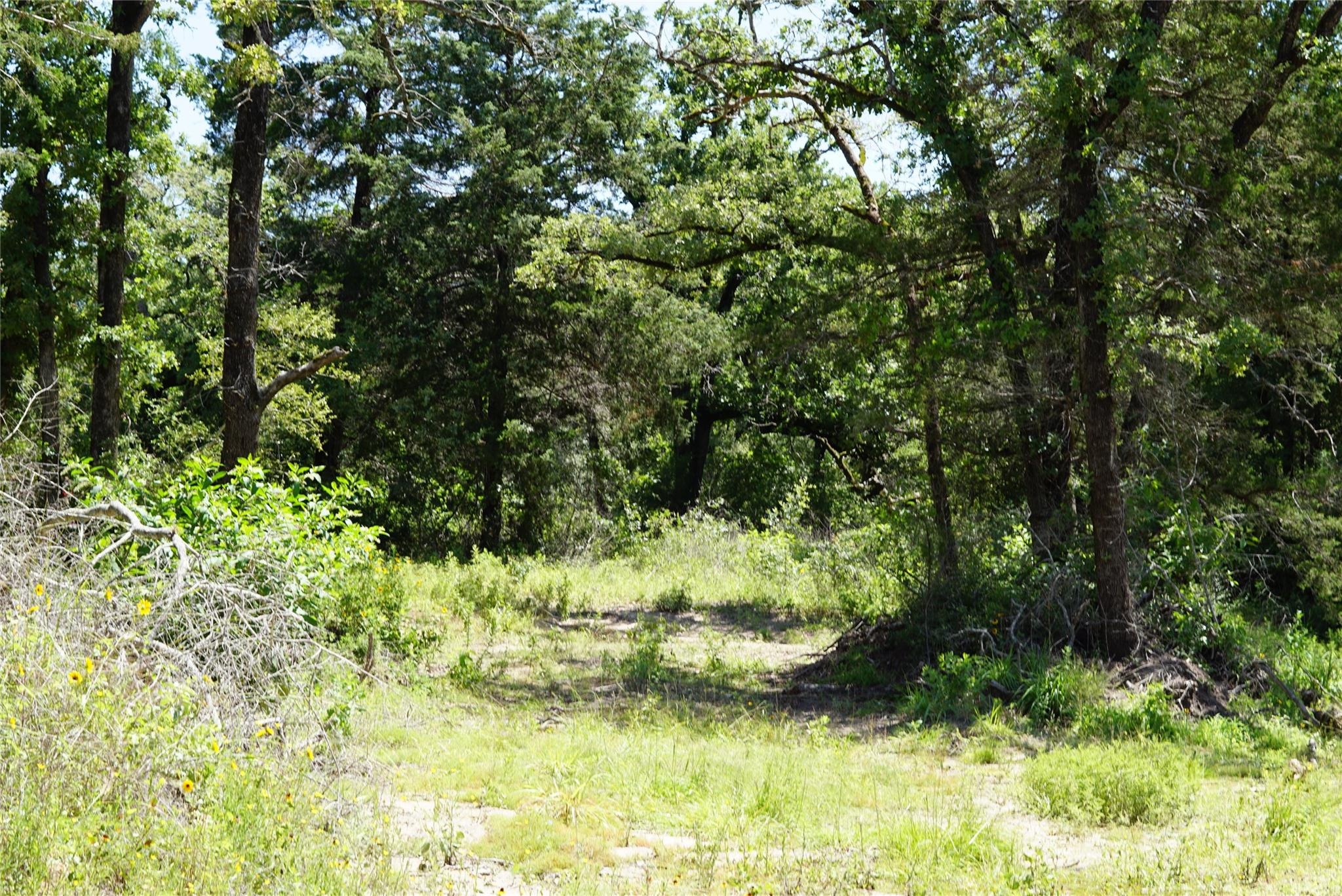 County Road 322 , Rockdale, TX 76567 #1