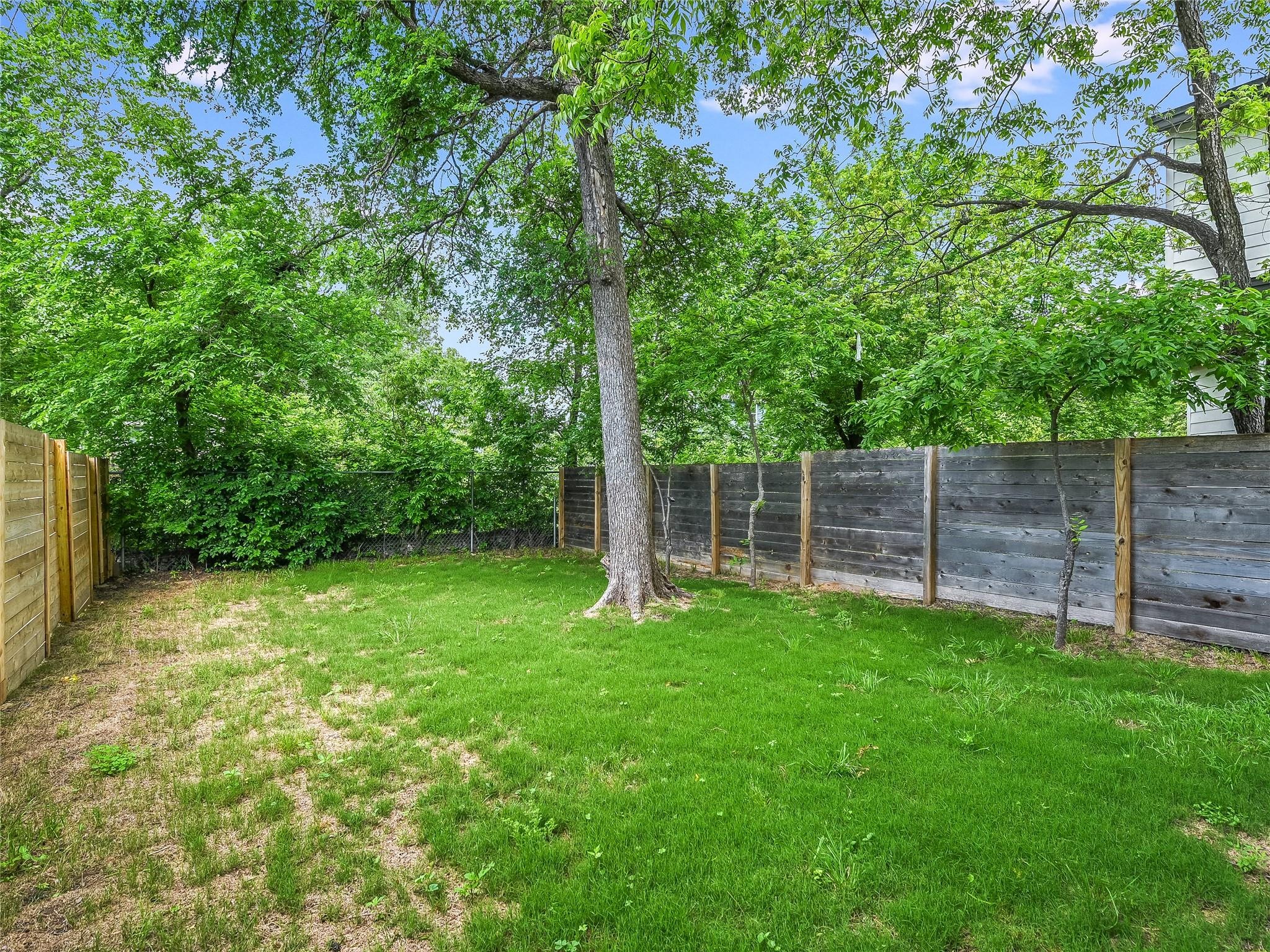 Cometa St, Austin, TX 78721 #1