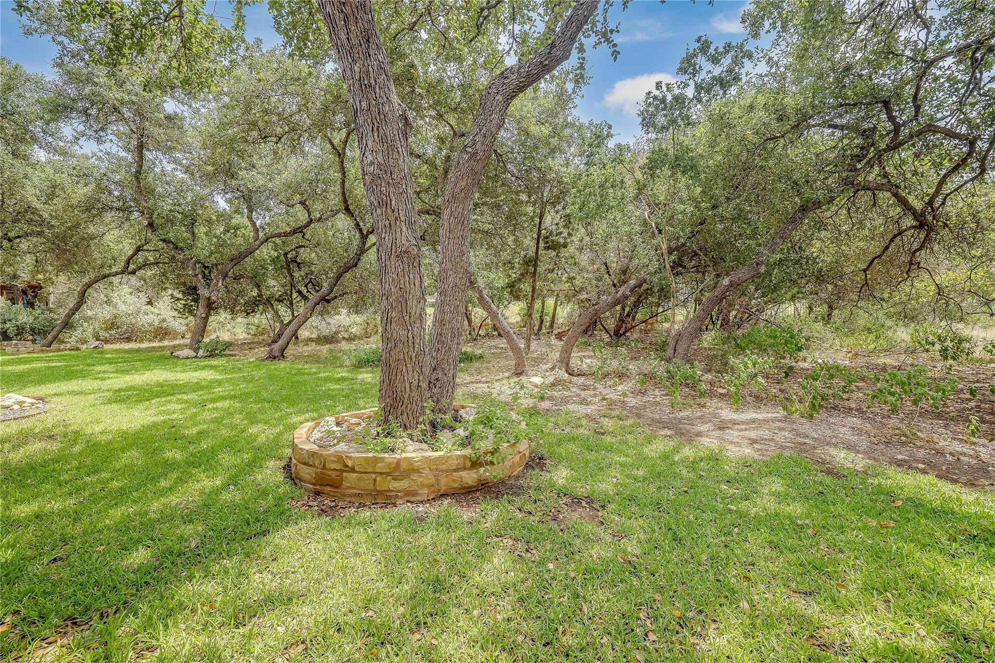 American Dr, Lago Vista, TX 78645 #1