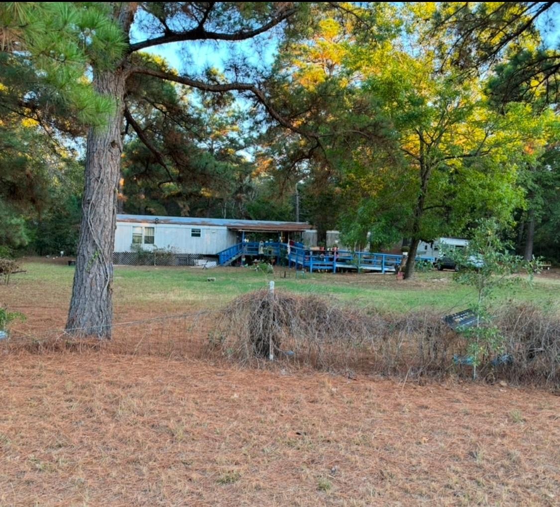 Austin Dr, Paige, TX 78659 #1
