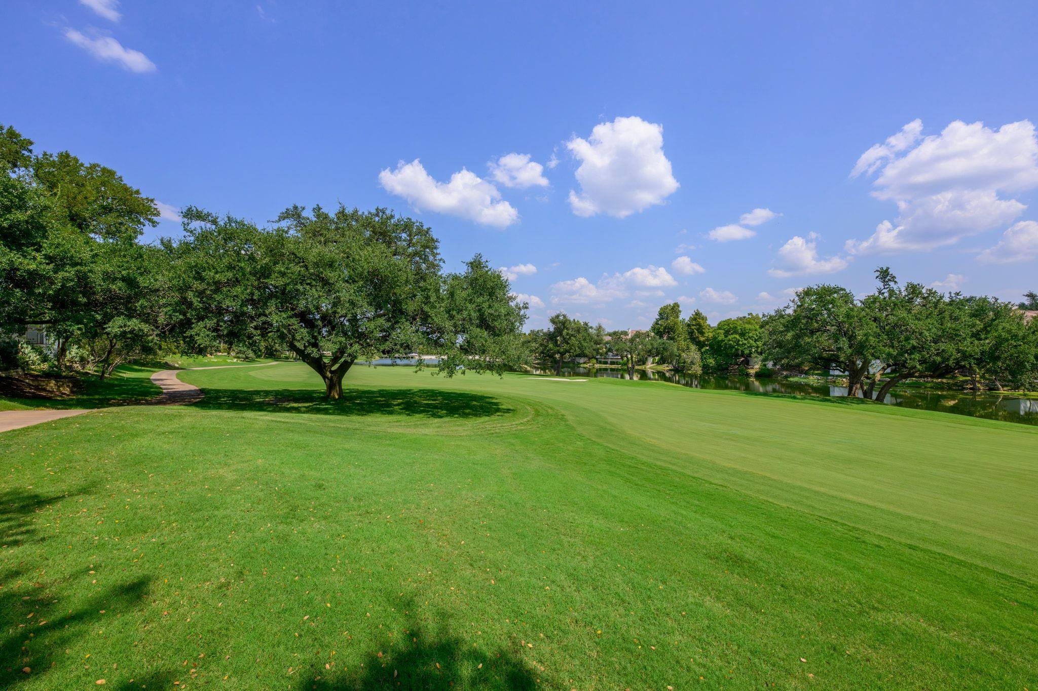 Crystal Springs Ct, The Hills, TX 78738 #1