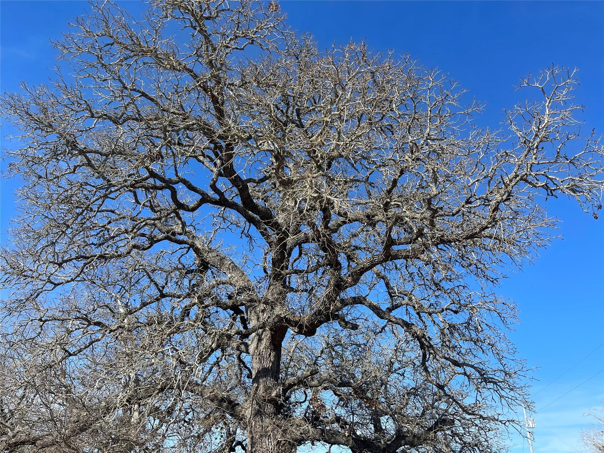 FM 2762 , Flatonia, TX 78941 #1