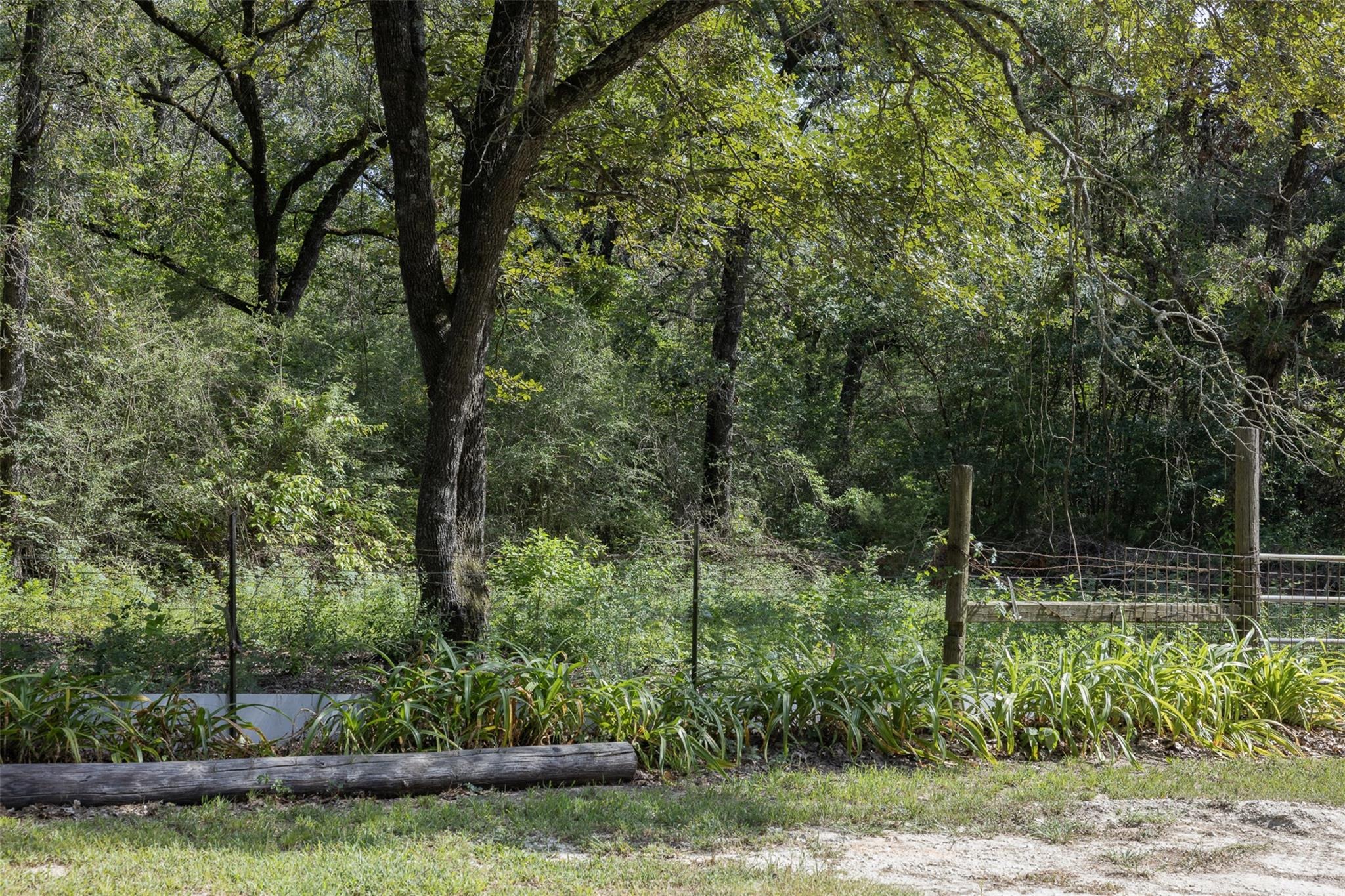 Private Road 7051 , Milano, TX 76556 #1