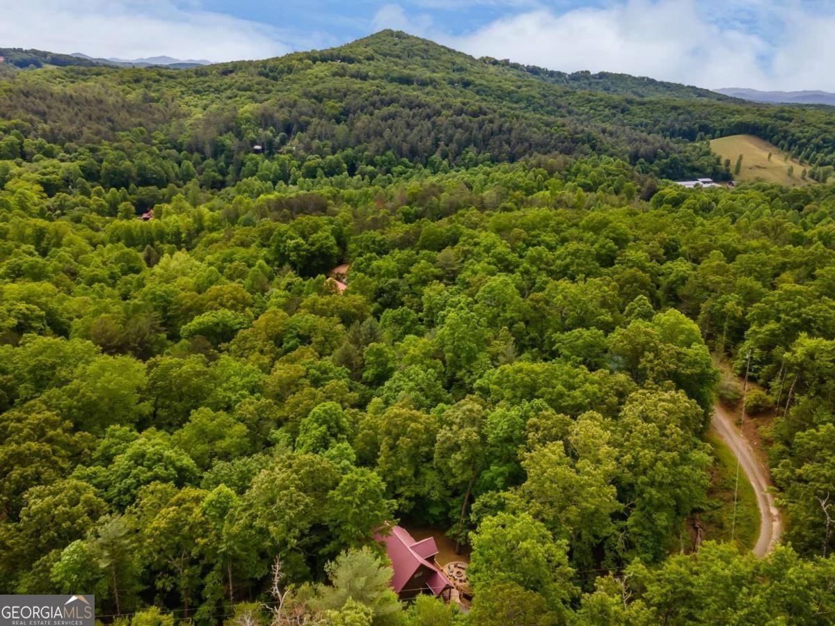 Oakwood Trl, Mineral Bluff, GA 30559