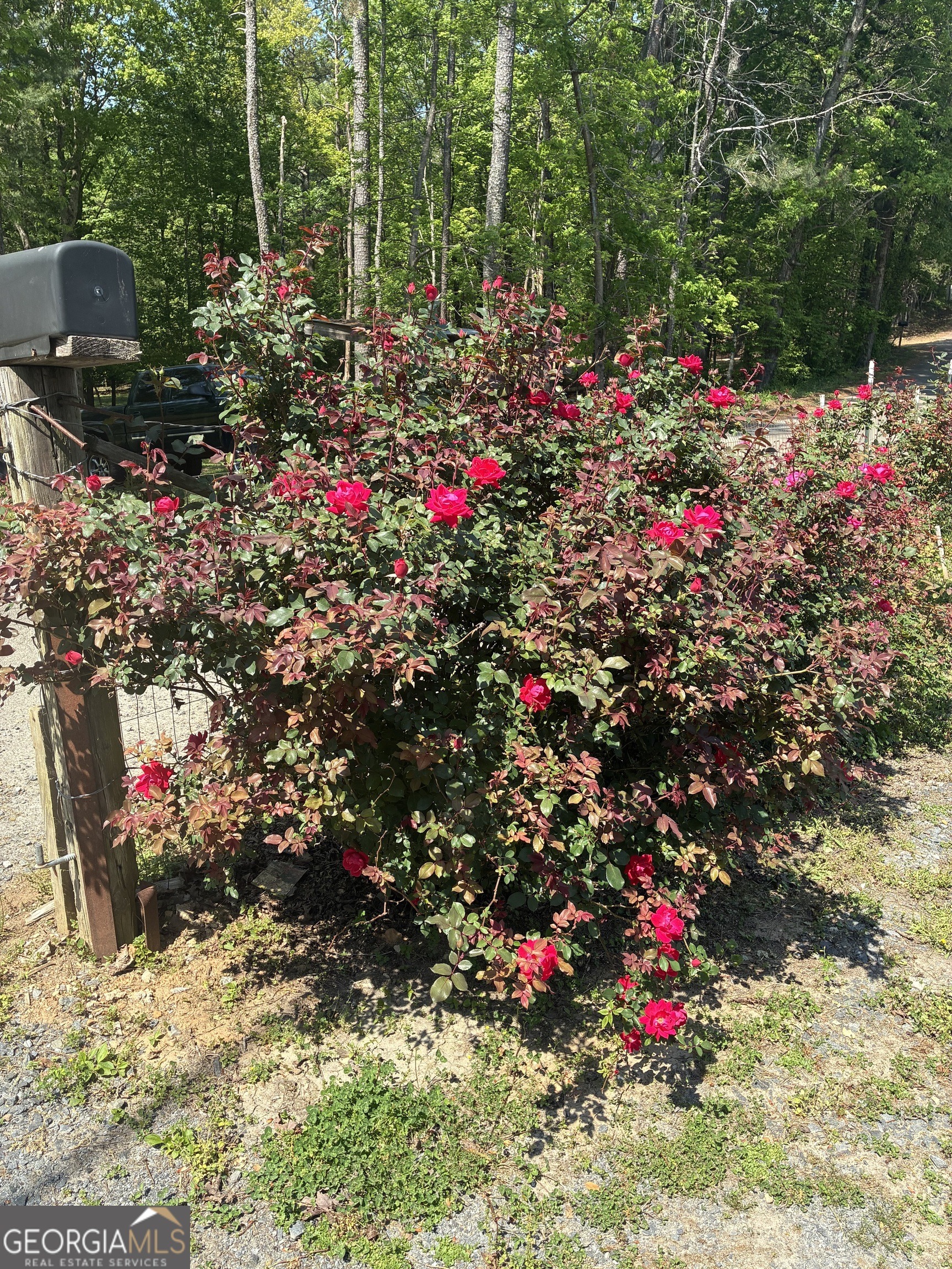 Knight Dr, Ellijay, GA 30540 #1