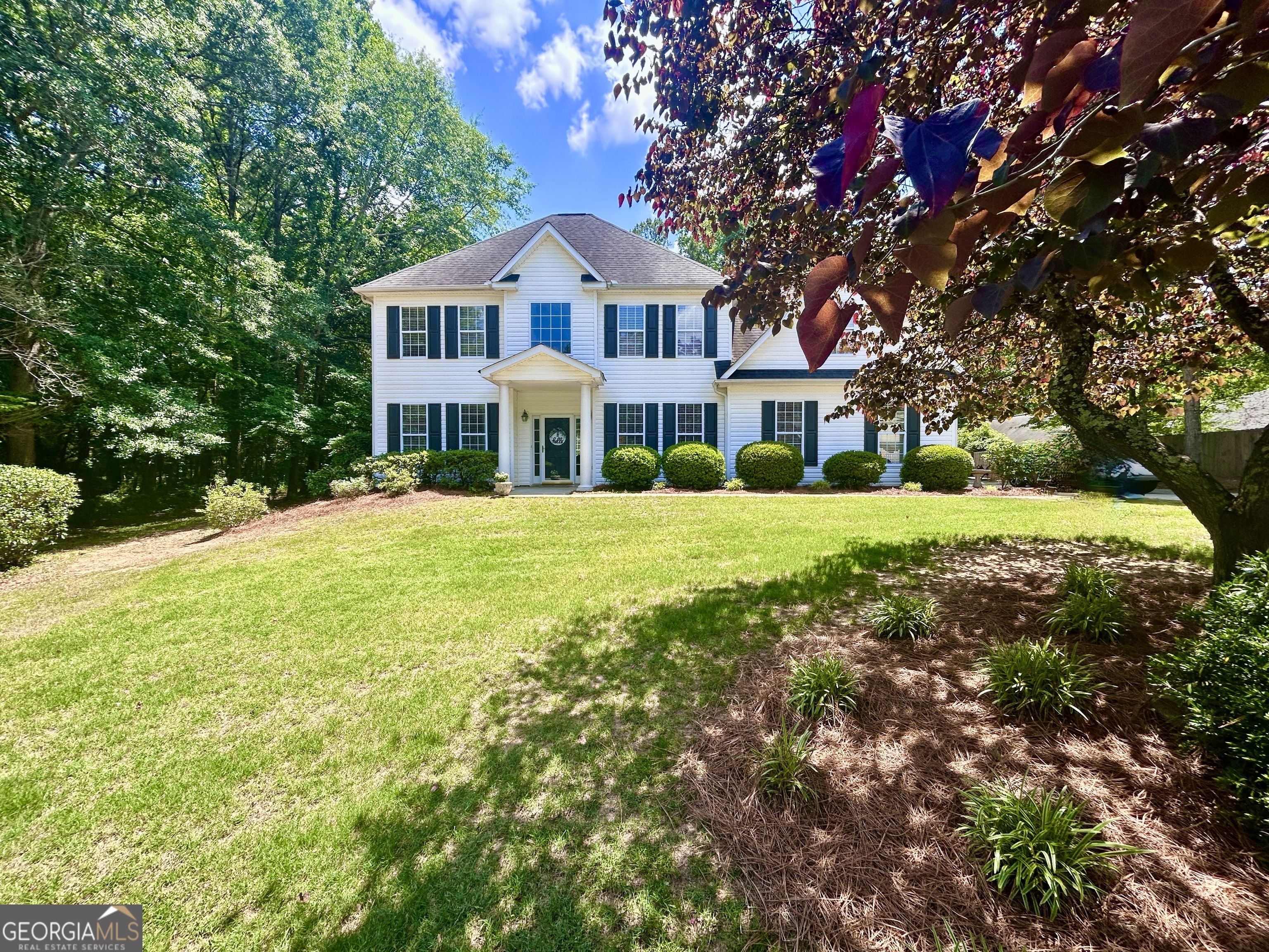 Leesburg Plantation Dr, Sharpsburg, GA 30277 #1