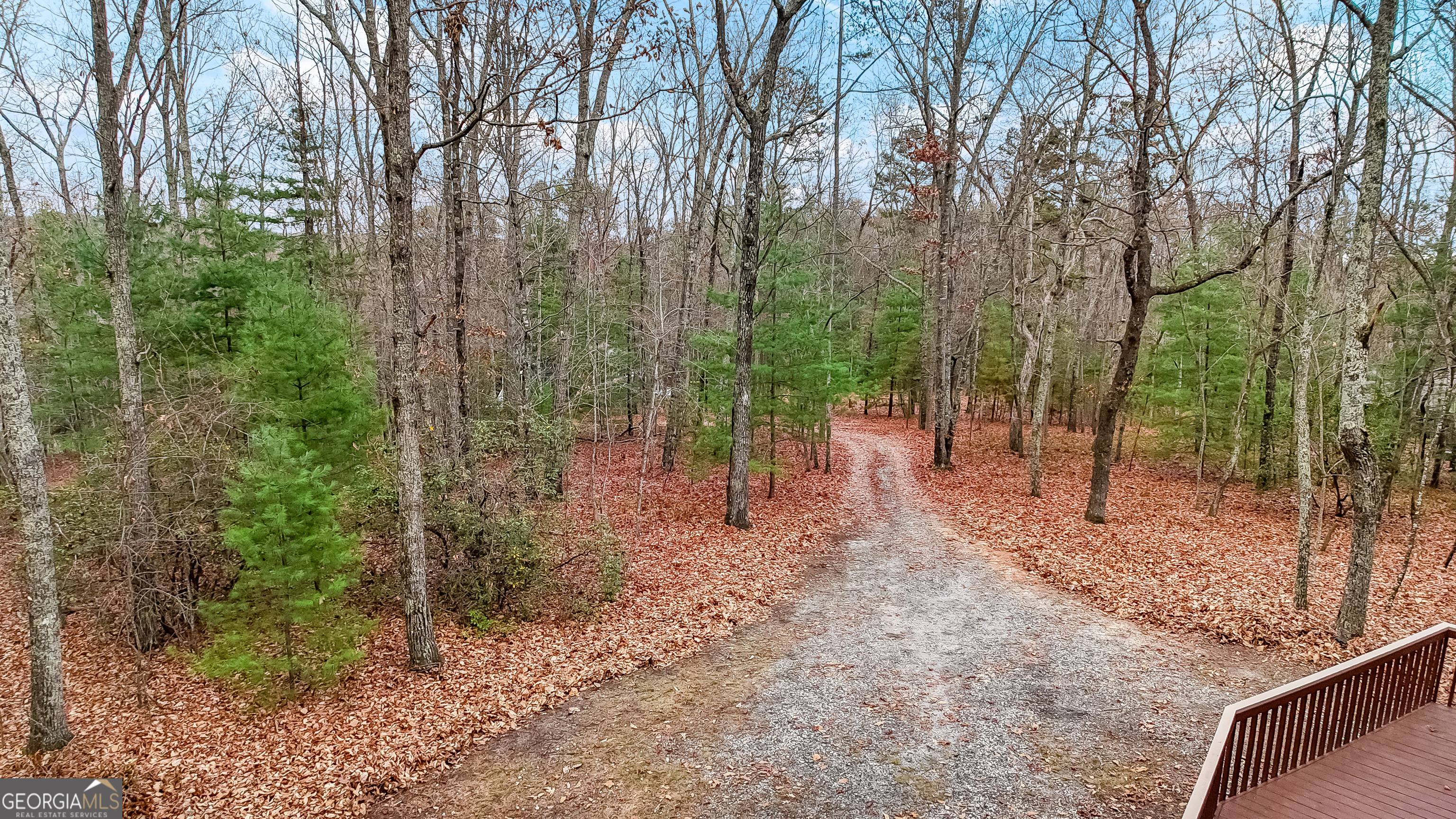 Old Stage Coach Rd, Clarkesville, GA 30523 #1