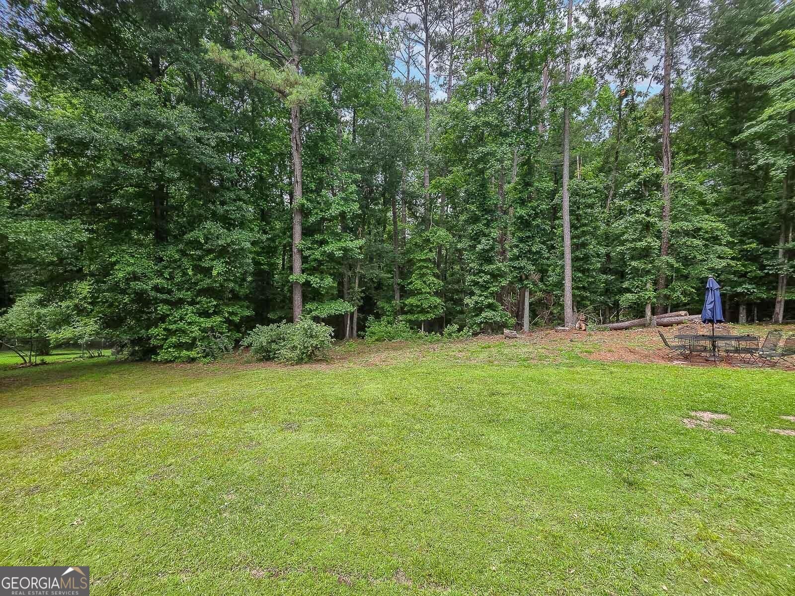 Honeybee Creek Dr, Griffin, GA 30224 #1