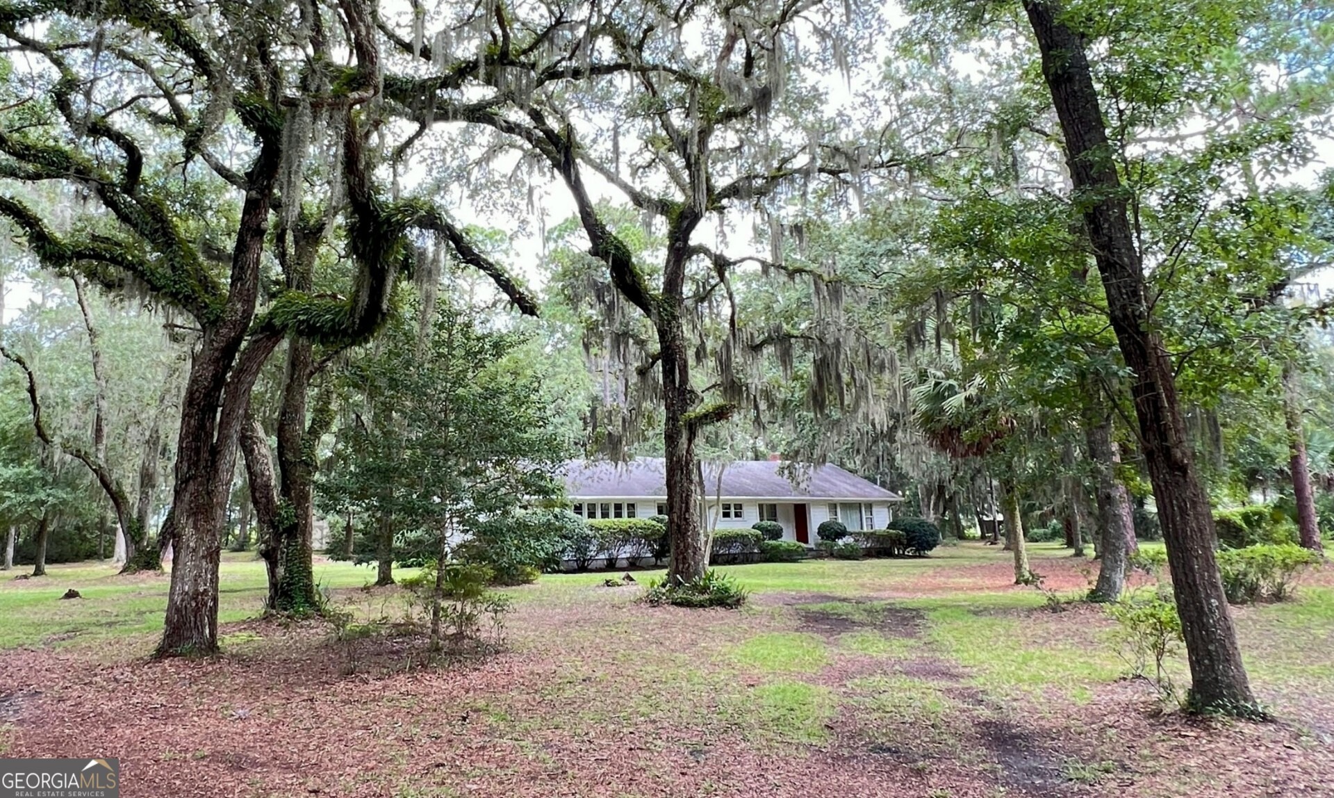 Blythe Island Hwy, Brunswick, GA 31523 #1