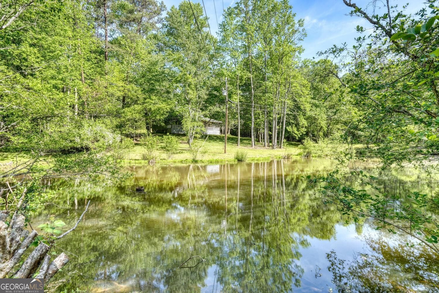 Greasy Creek Rd, Brasstown, NC 28902 #1