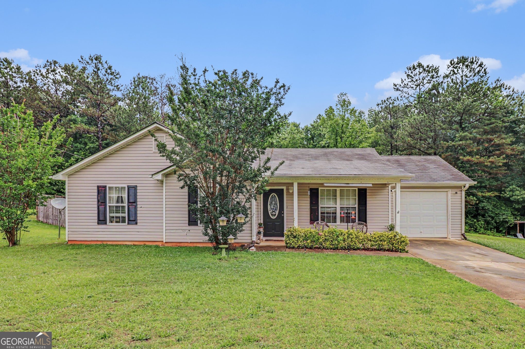 Thorn Thicket Dr, Rockmart, GA 30153 #1