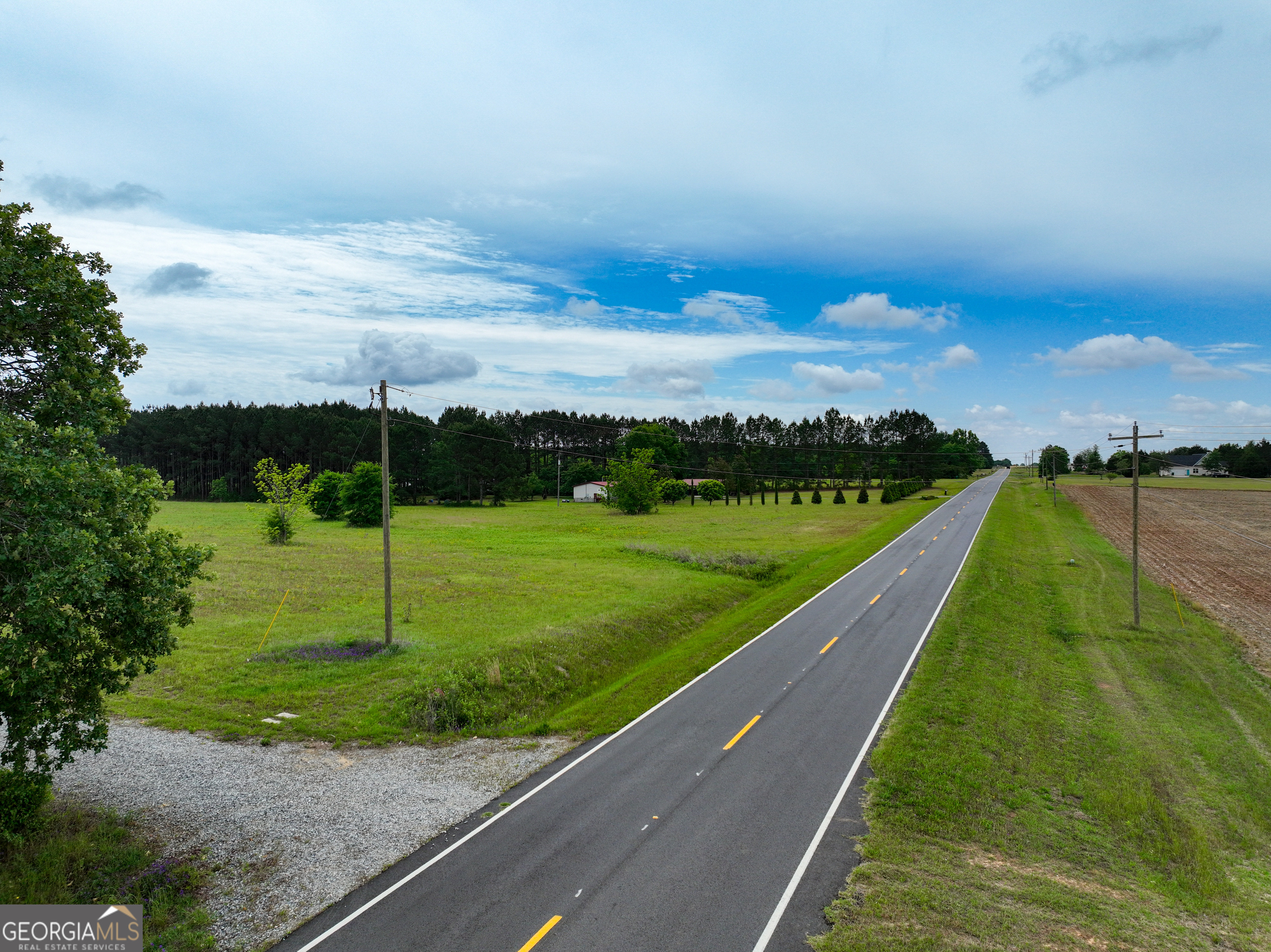 Pitts Rd, Hawkinsville, GA 31036 #1