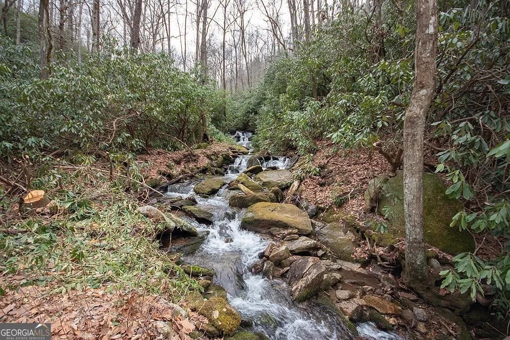 Carolina Springs Ln, Franklin, NC 28734 #1