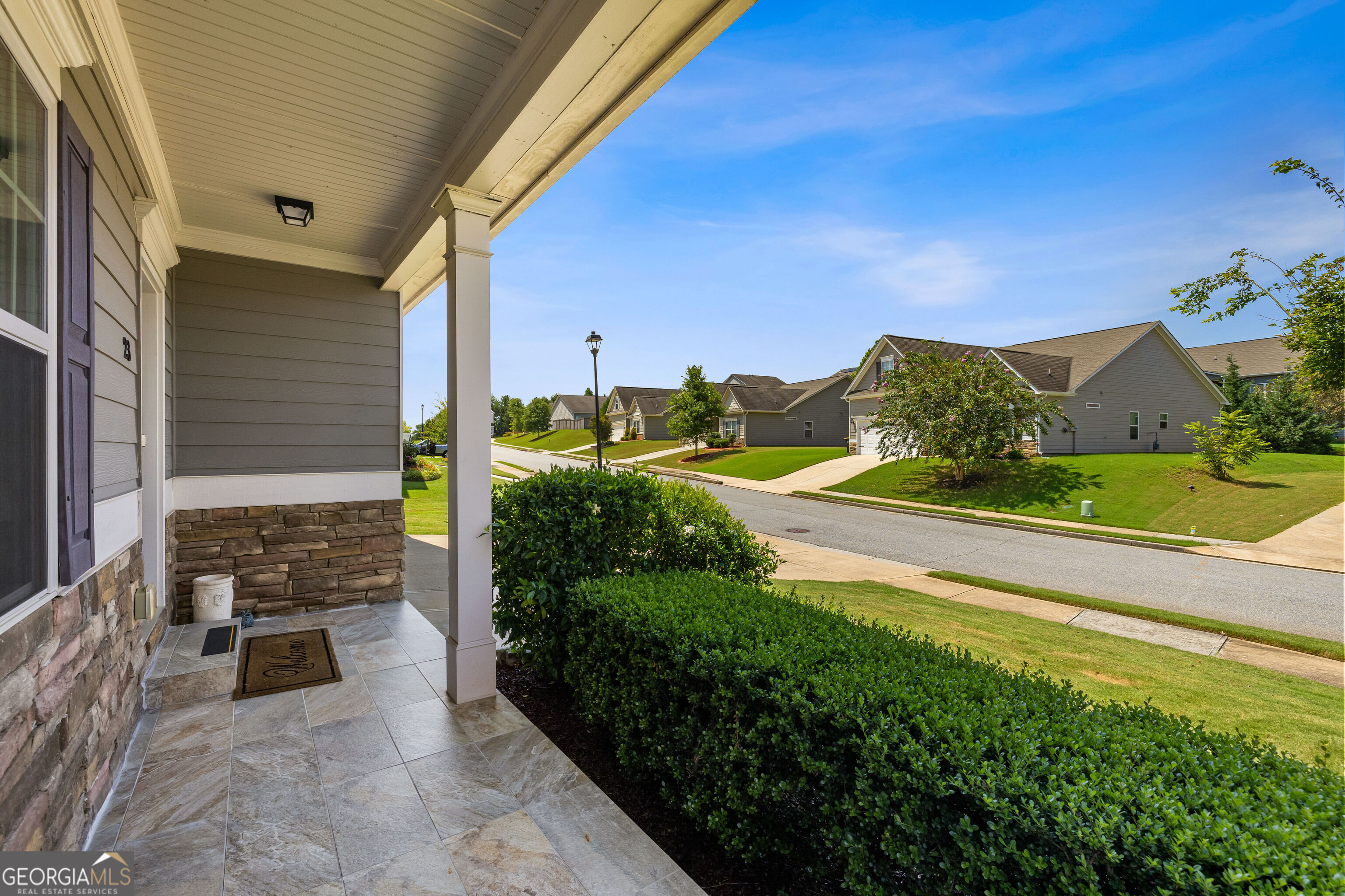 Carrington Way, Newnan, GA 30265 #1