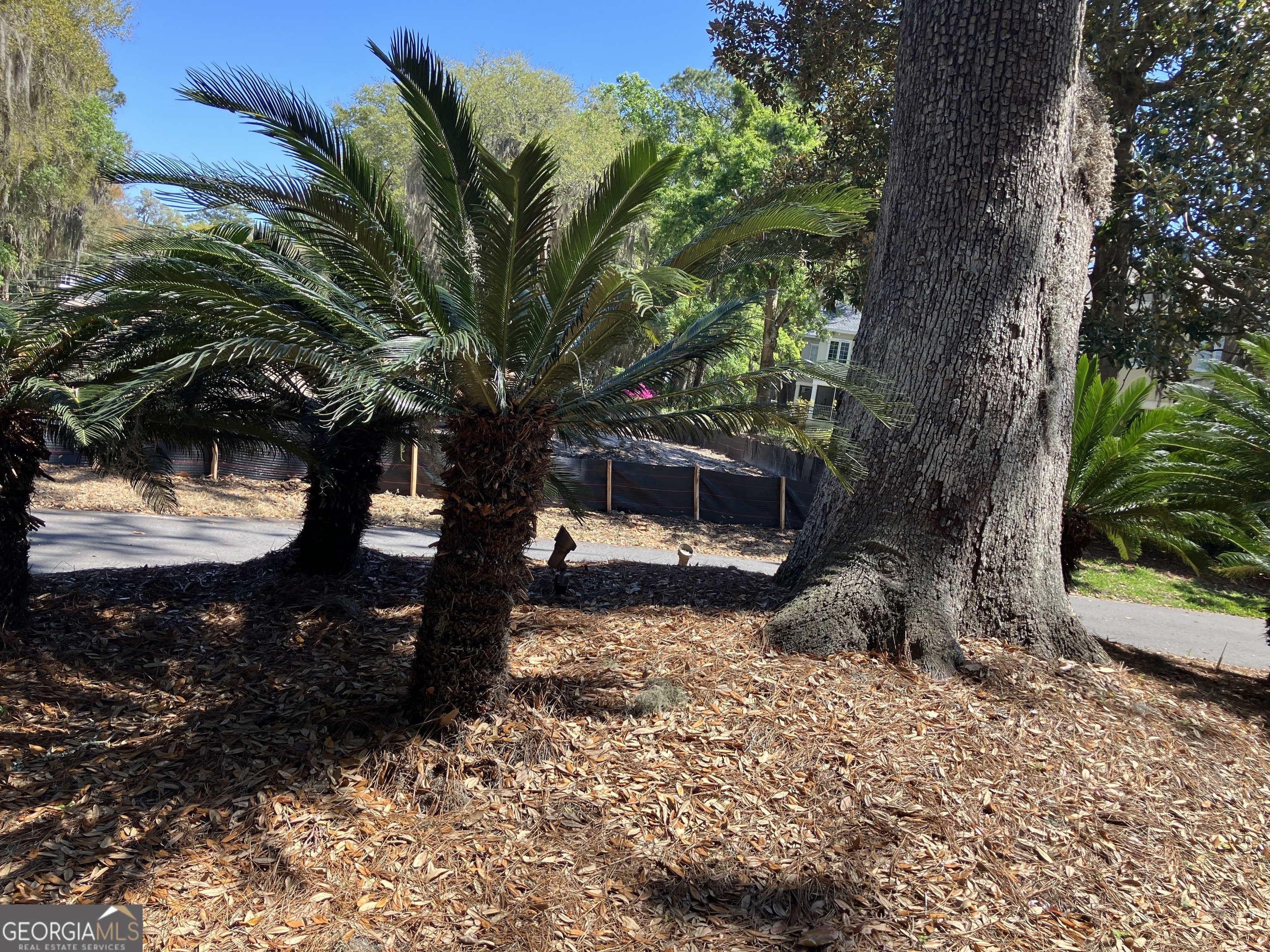 Kiln Trl, Saint Simons Island, GA 31522 #1
