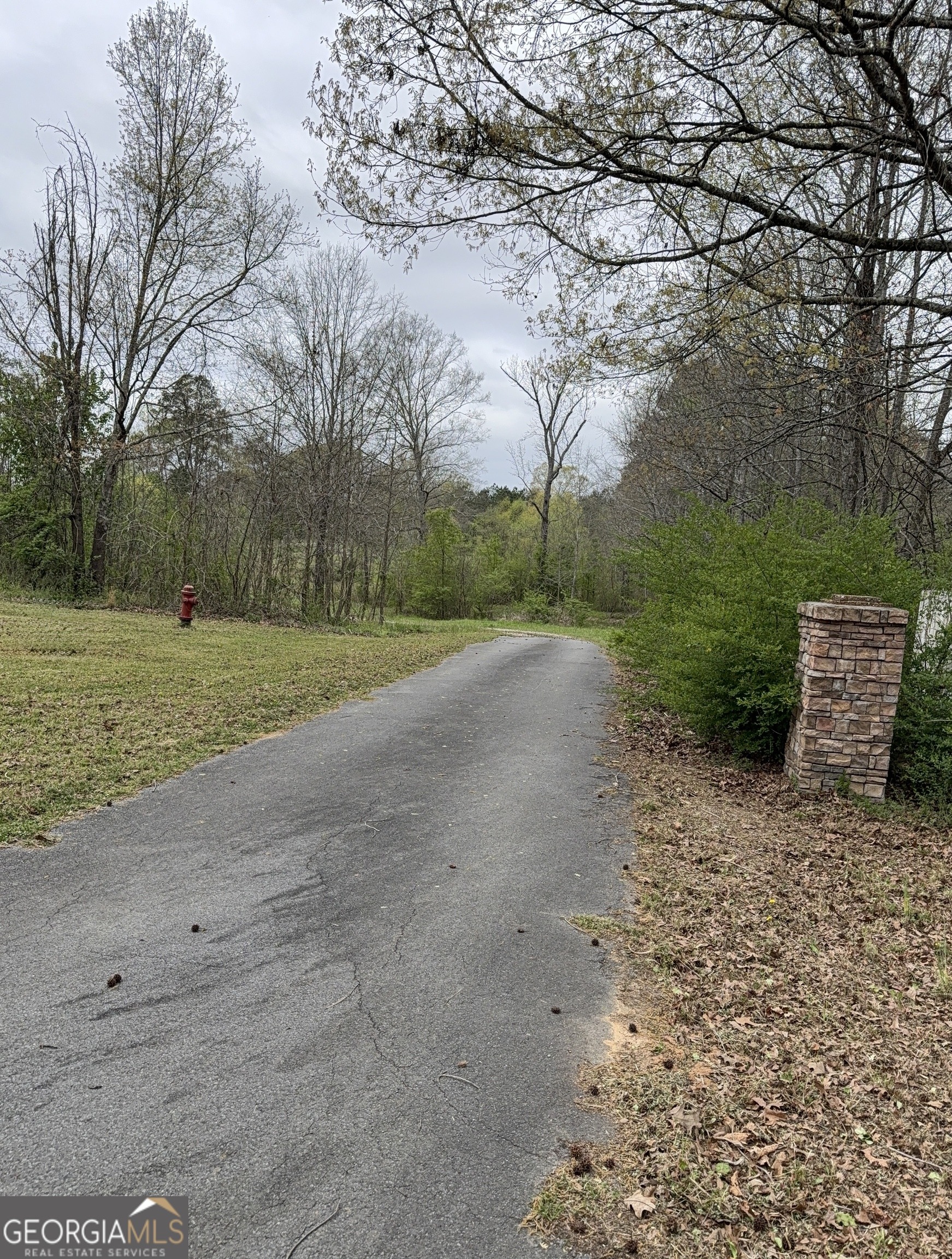 Oak Grove Rd, Summerville, GA 30747 #1