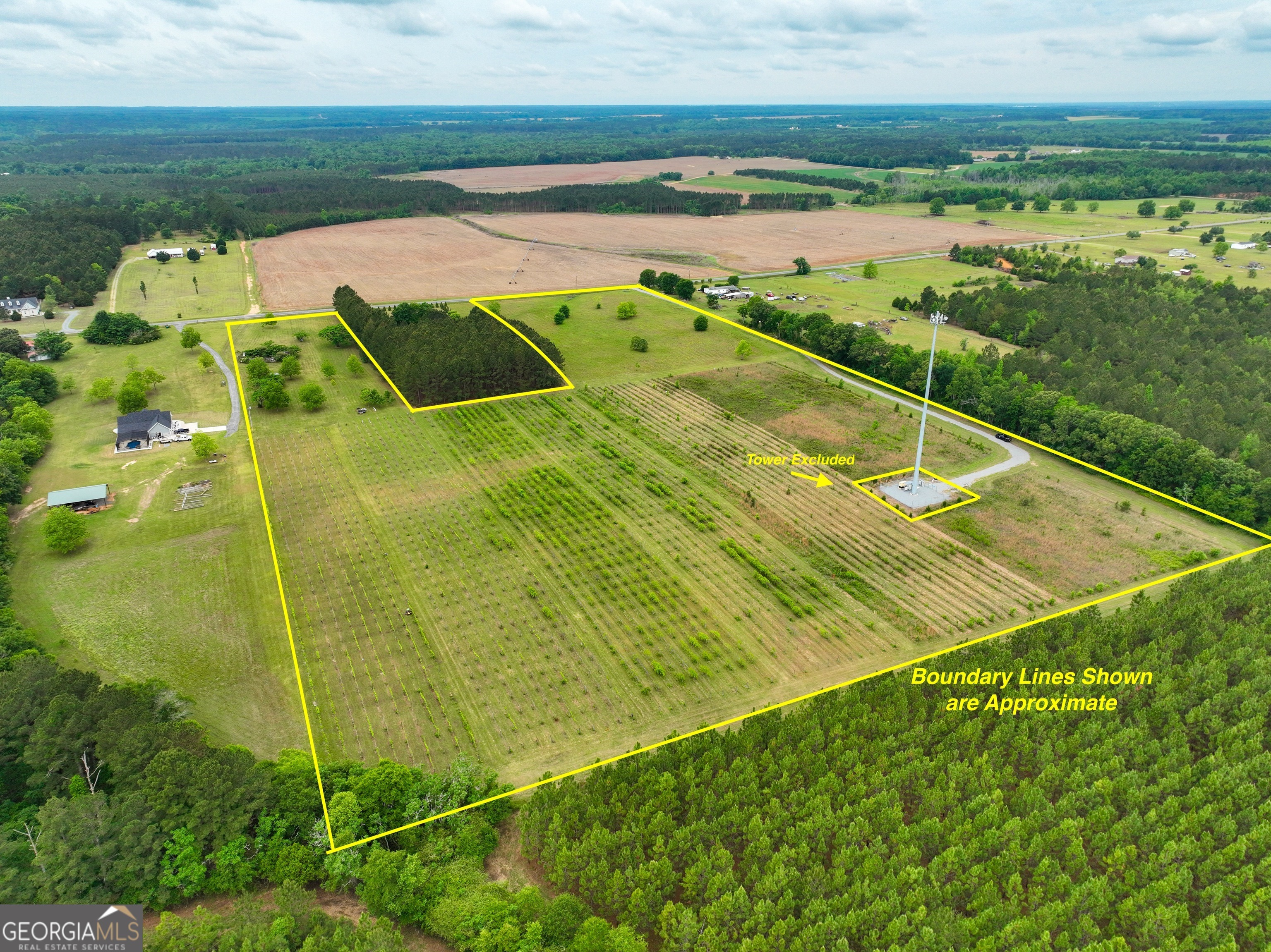 Pitts Rd, Hawkinsville, GA 31036