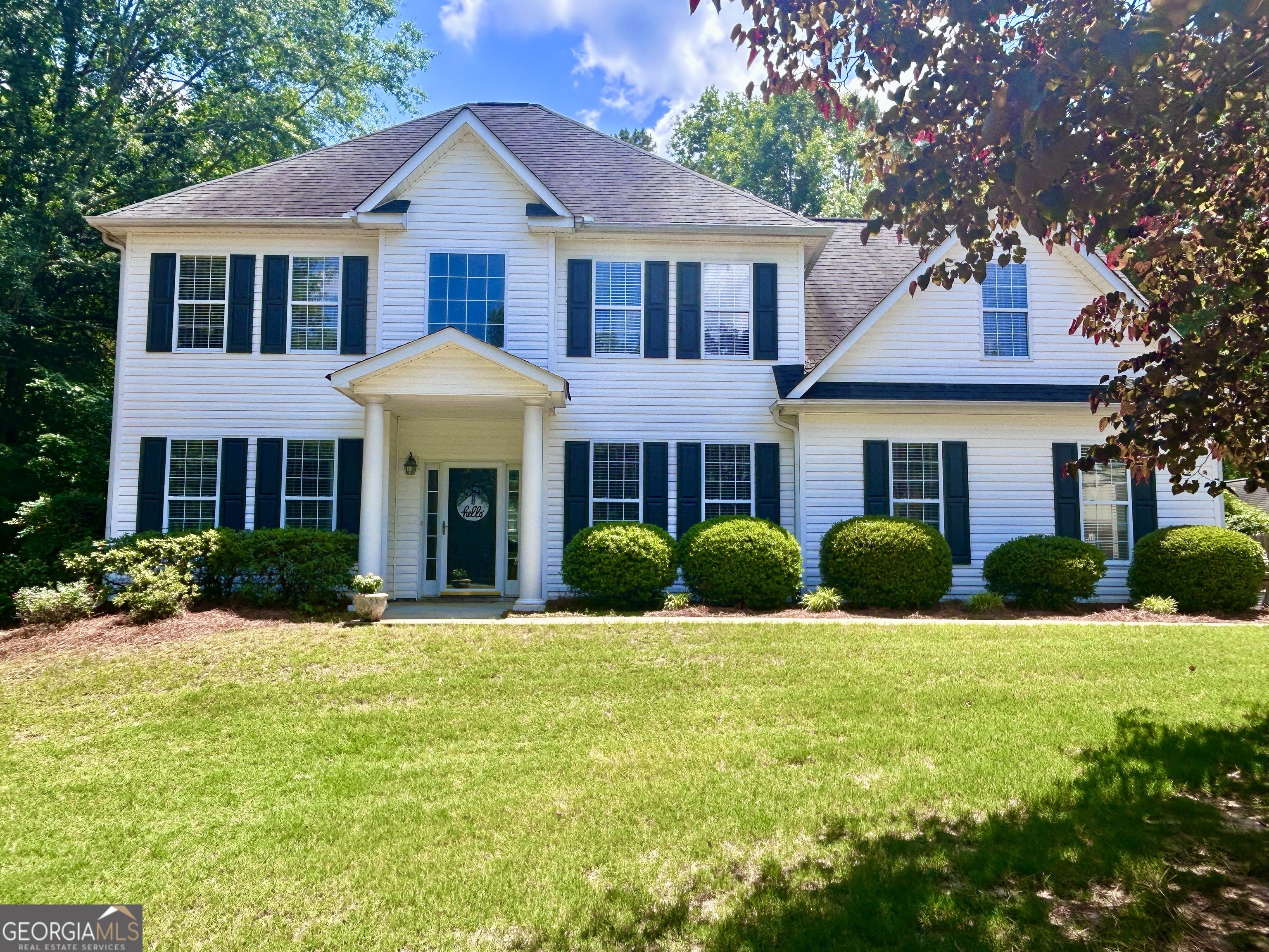 Leesburg Plantation Dr, Sharpsburg, GA 30277