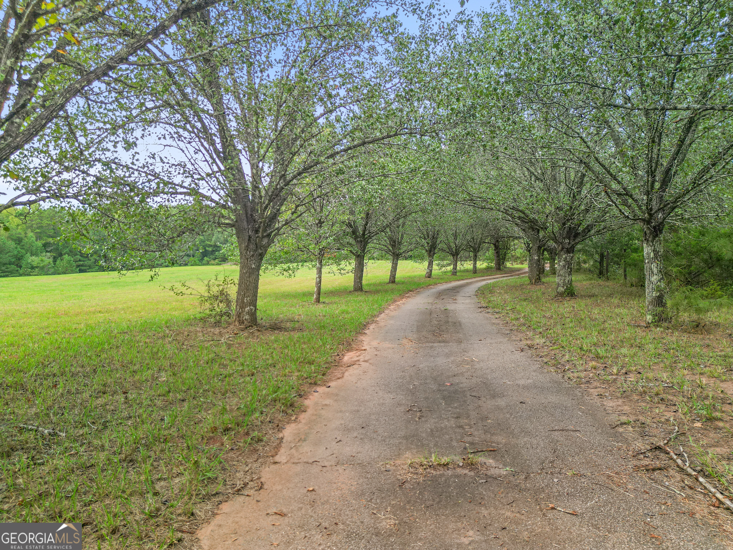 Arthur Rd, Zebulon, GA 30295 #1