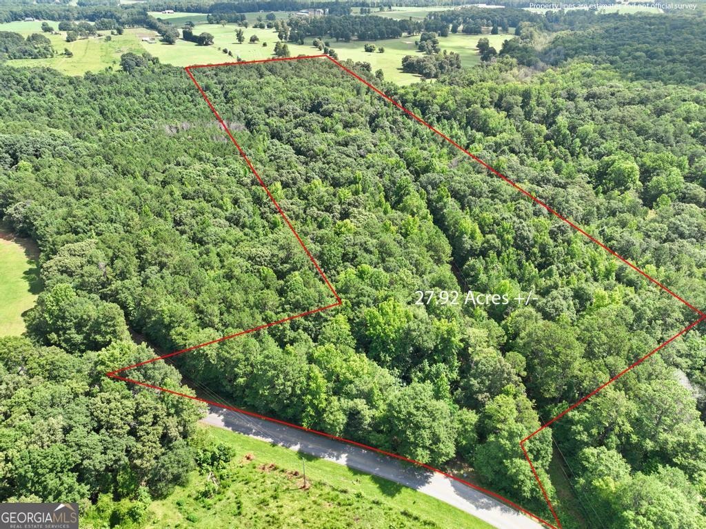 Evans Rd, Milner, GA 30257 #1