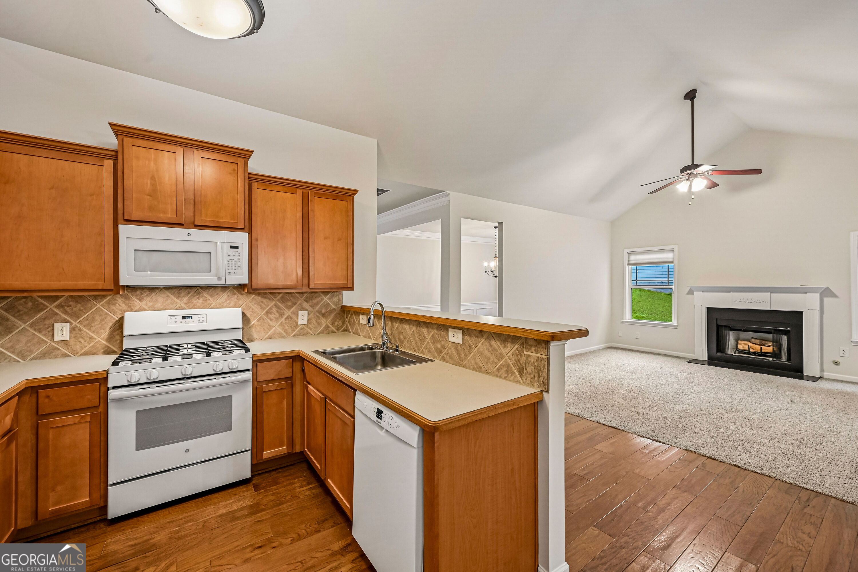 Potomac Dr, Dallas, GA 30132 #1