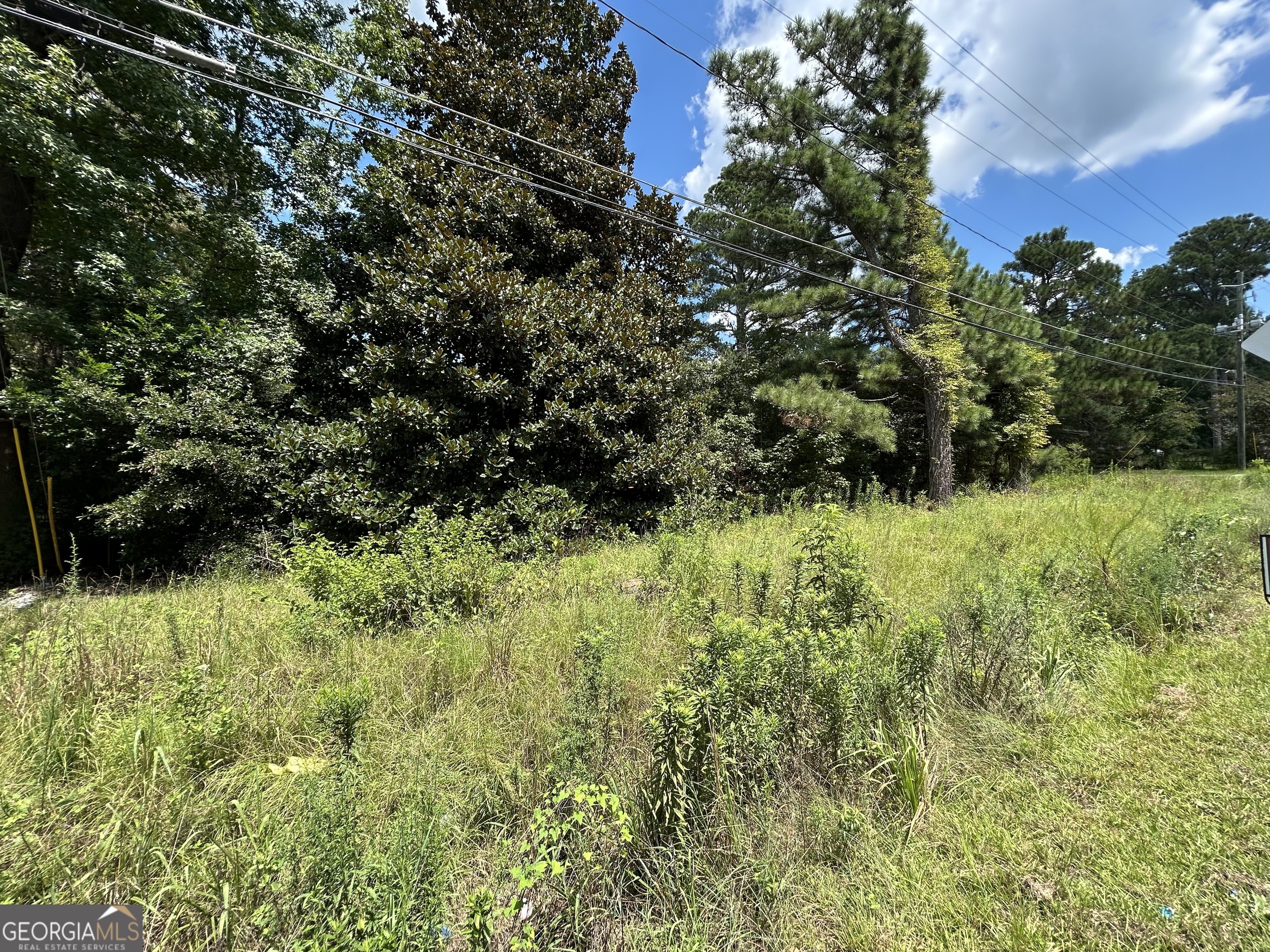 Riggins Mill Rd, Macon, GA 31217
