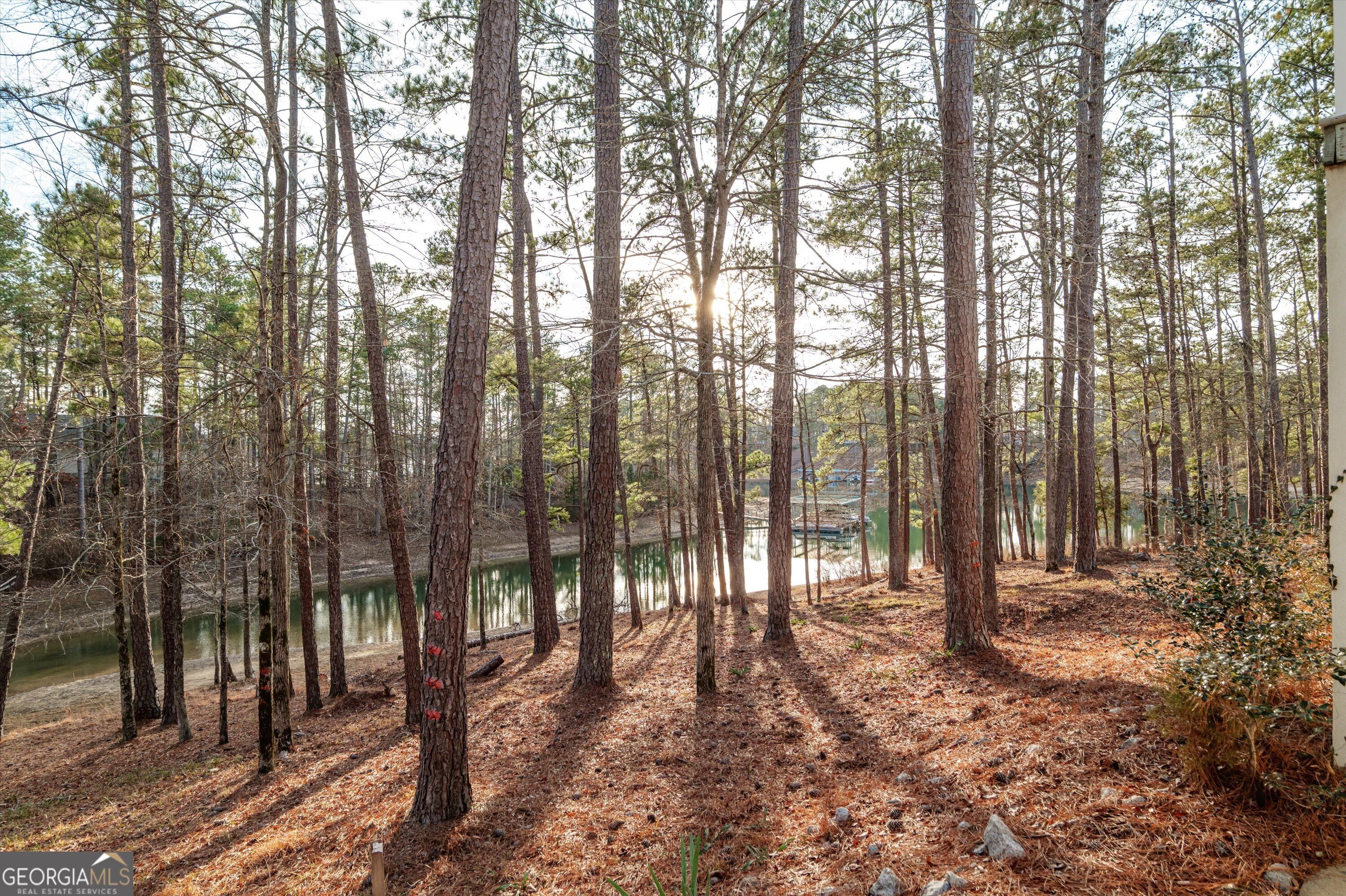 Daly Pl, Mc Cormick, SC 29835 #1