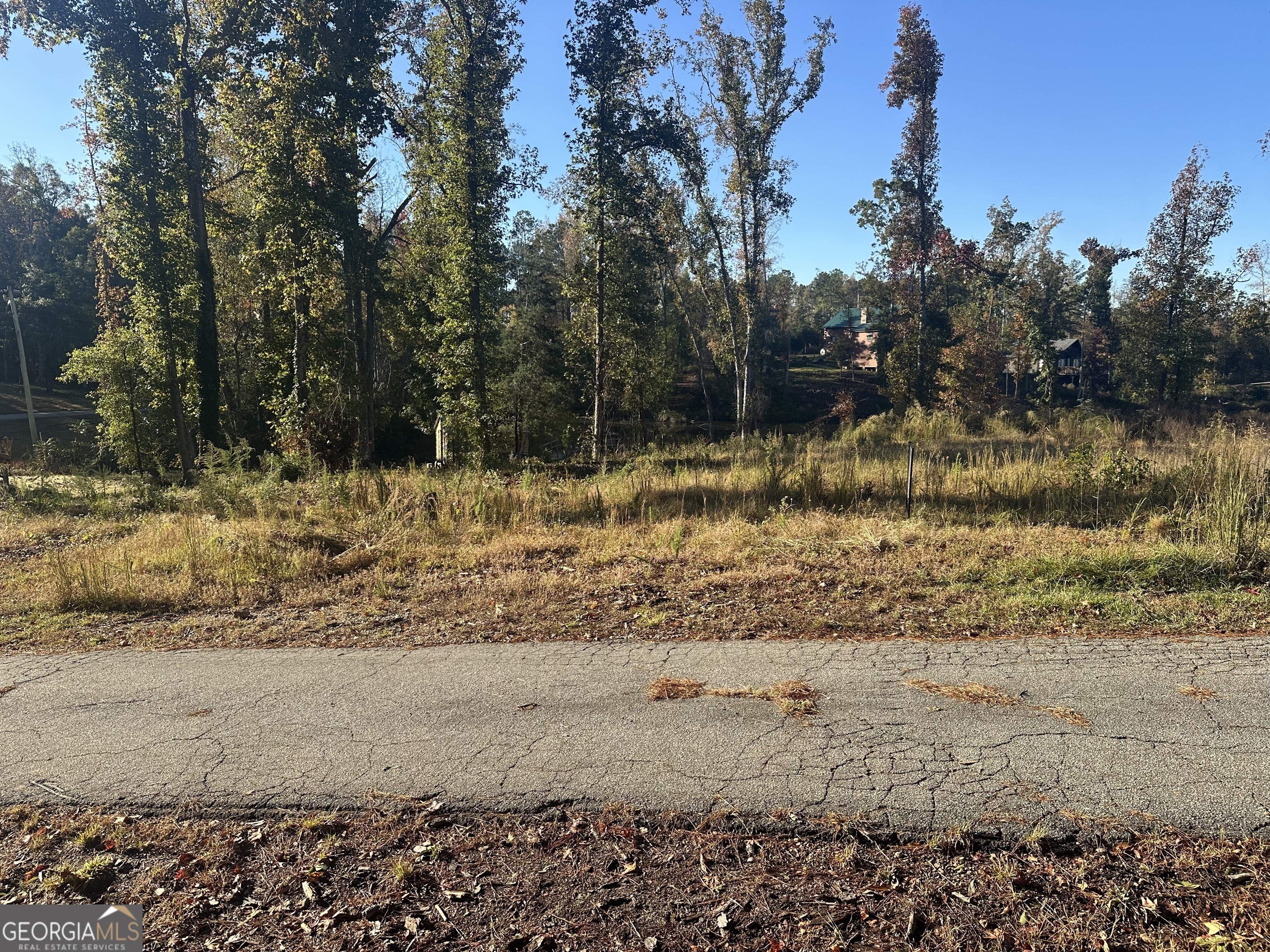 Cherokee Resort Rd, Pine Mountain, GA 31822 #1