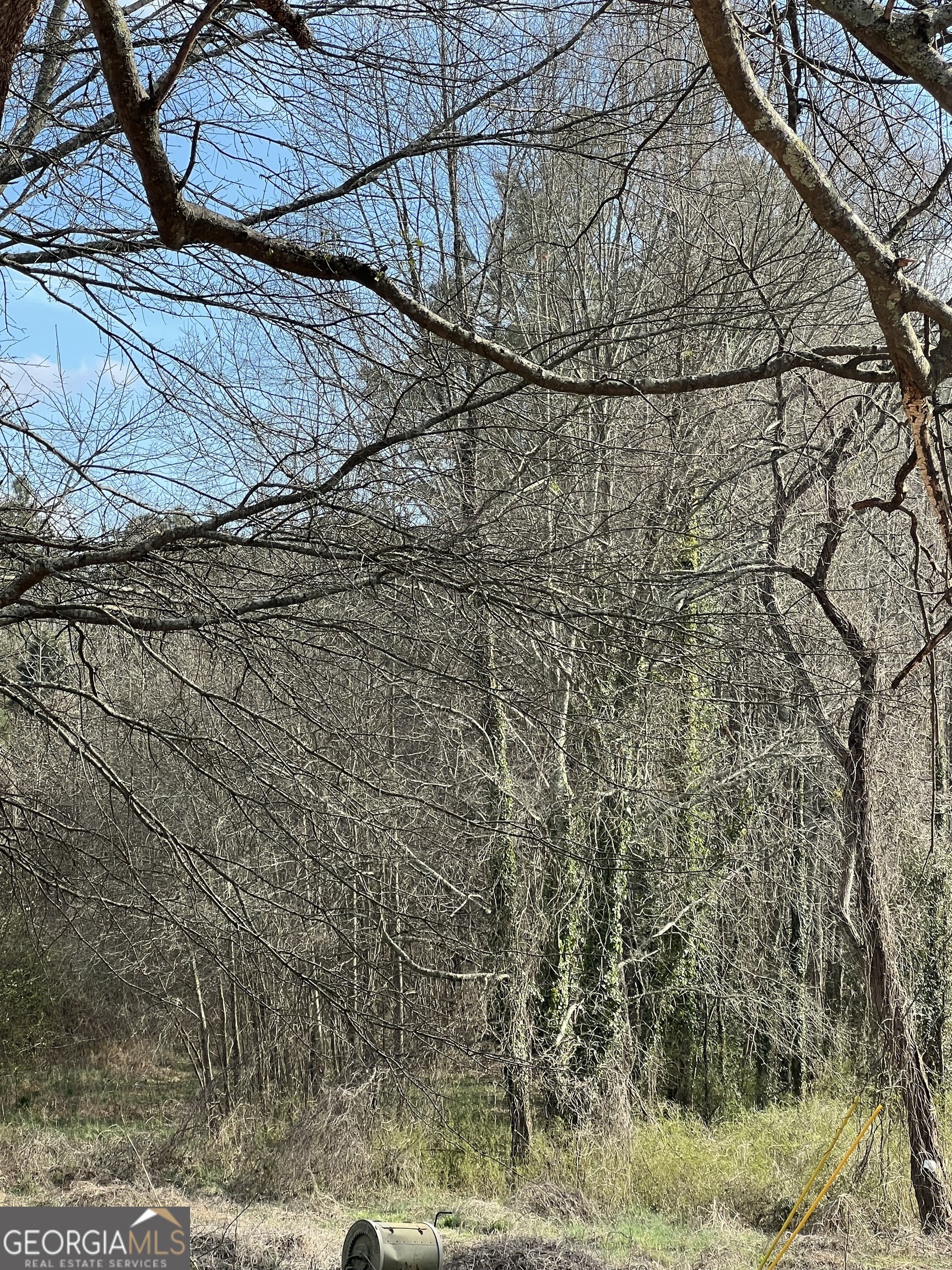 Pine Shadows Dr, Dallas, GA 30157 #1