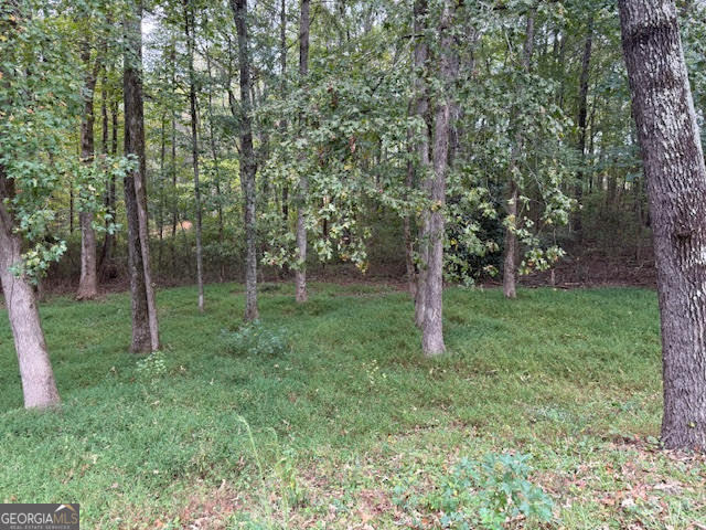 Lake Pkwy, Mcdonough, GA 30253