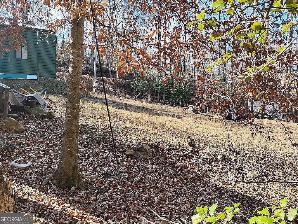 Jones Gap Rd, Hiawassee, GA 30546 #1
