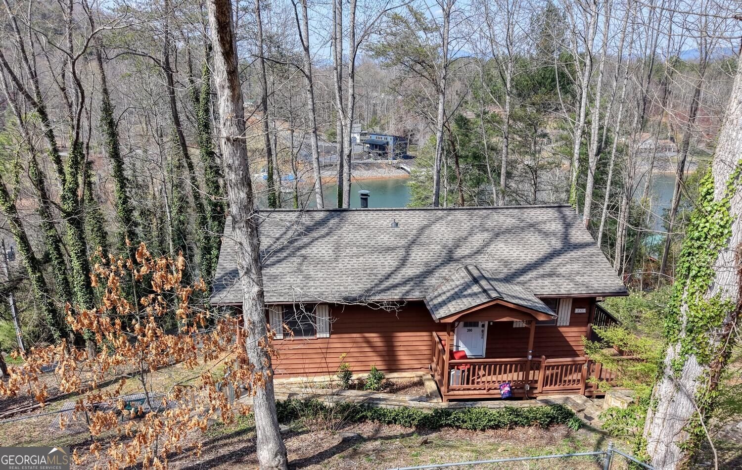 Bursey Rd, Hiawassee, GA 30546 #1