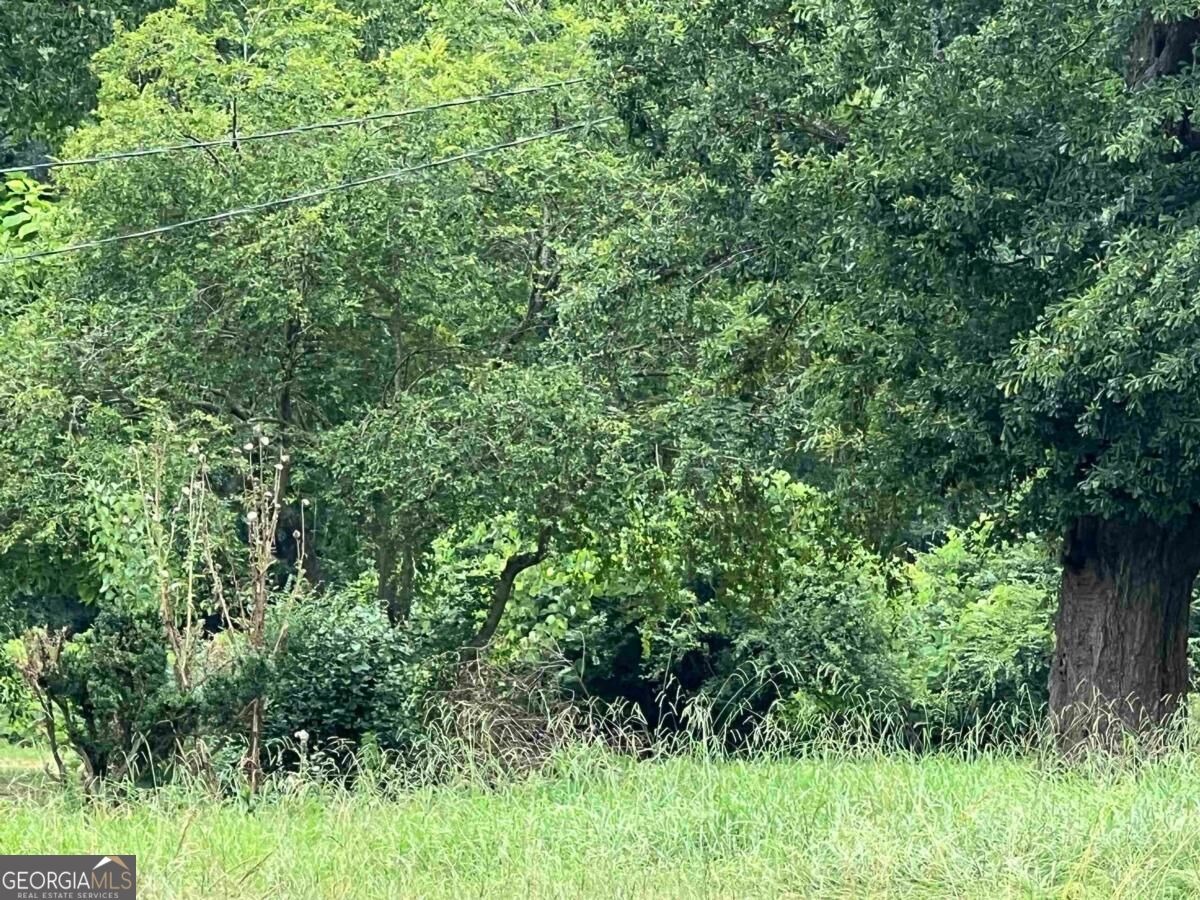 Lower Apalachee Rd, Madison, GA 30650 #1
